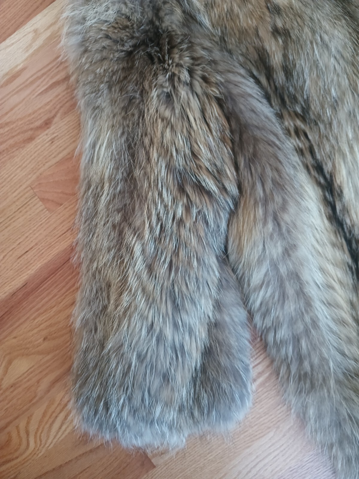 ADOLFO Bold Beauty Collared Feathered Finnish Raccoon Fur Coat Full Length Plus
