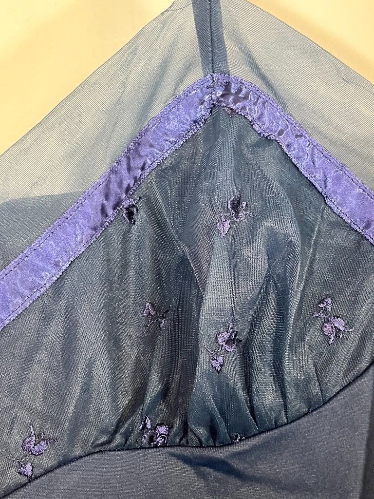 Vintage Butterfly Sheer Lingerie Slip Dress Blue 34 Sexy Feminine Coquette 60s