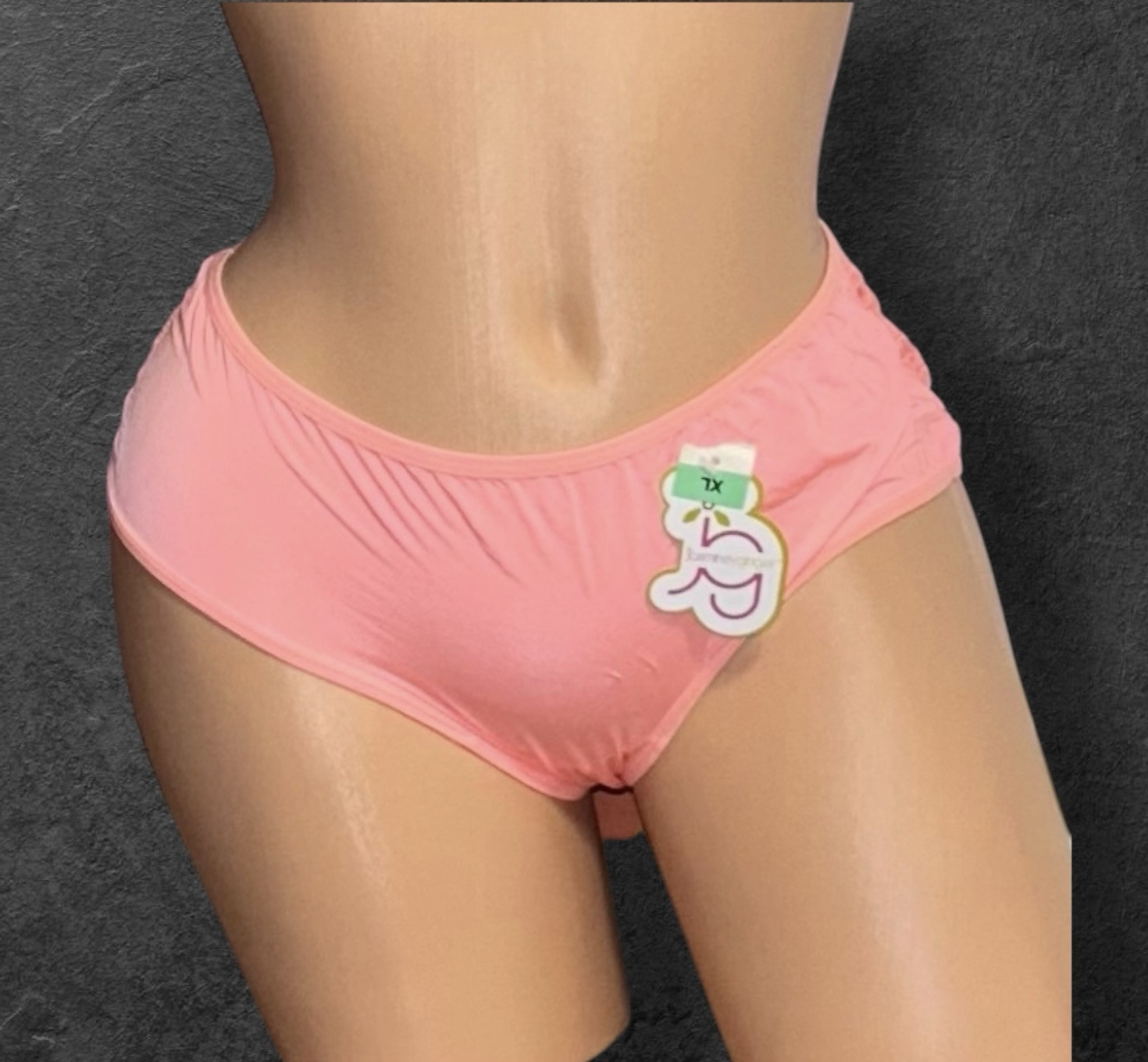 Jasmine & Ginger Peach Silky Front Lace Sheer Back Cheeky Nylon Panties XL/8 NWT