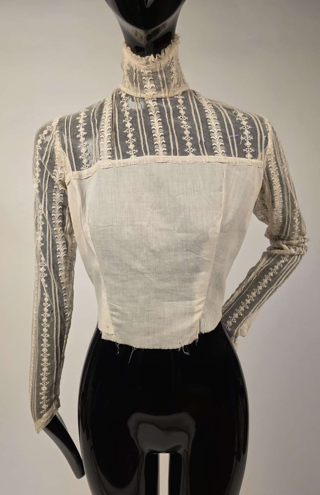 VICTORIAN 19TH C HIGH COLLAR EMBROIDERED NET LACE UNDER TOP BLOUSE