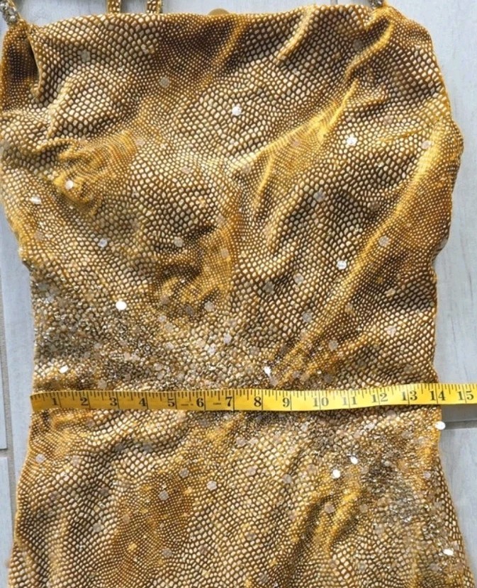 1970s Victoria Royal by Mary Bays Evening Gown