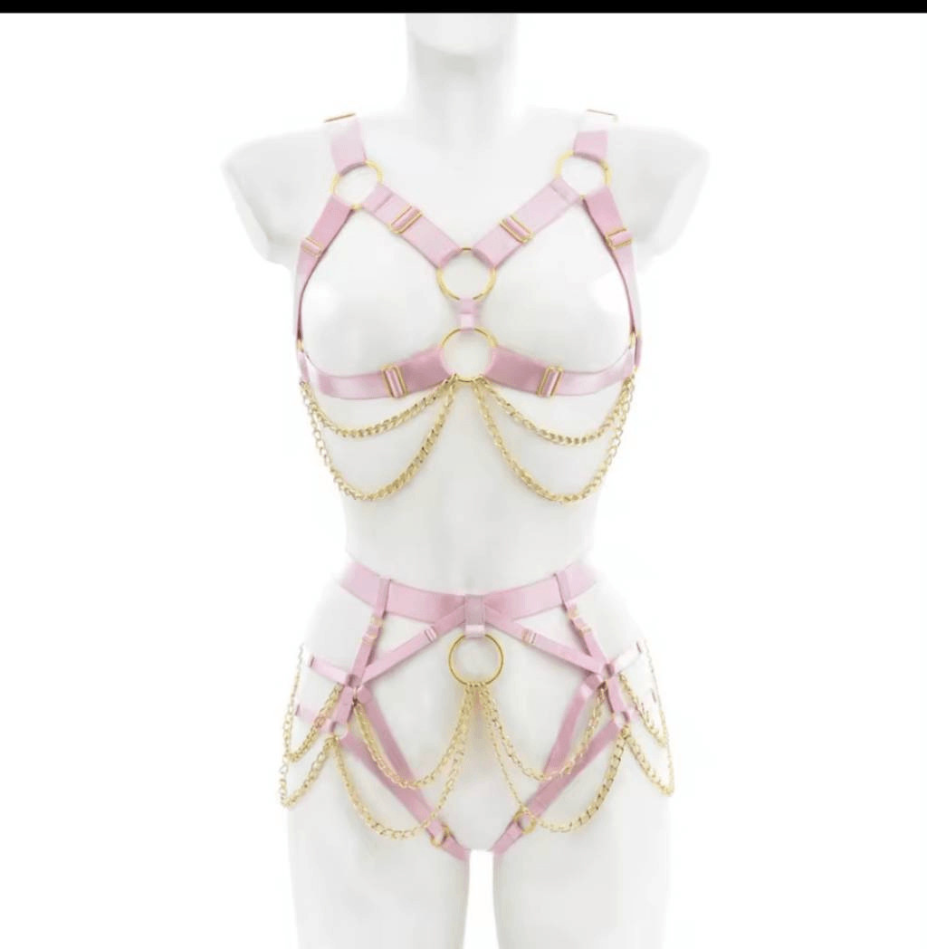 NWOT 2 Piece Pink Garter Harness Lingerie Set Chain