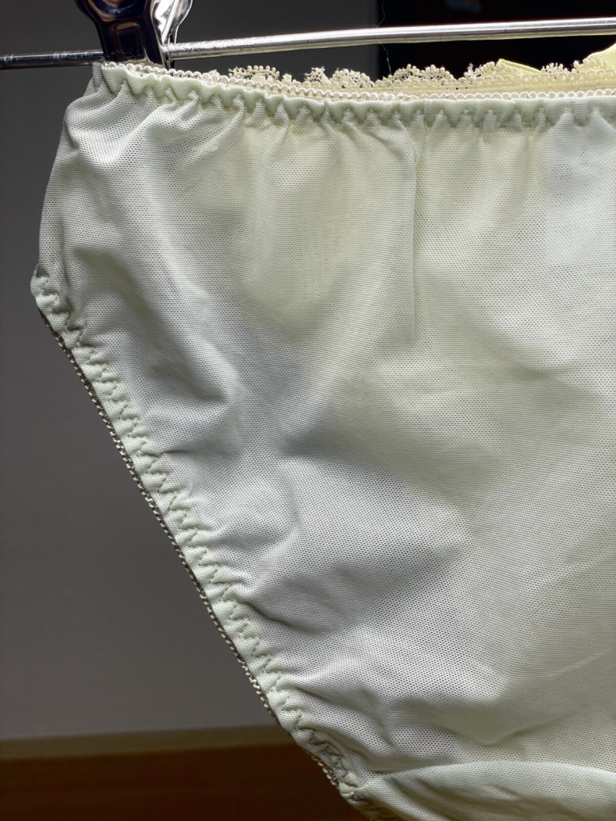 Vintage Silky Pale Nylon Mesh Sissy Panty Sz.5 Floral Lace Briefs Hip 34-37″