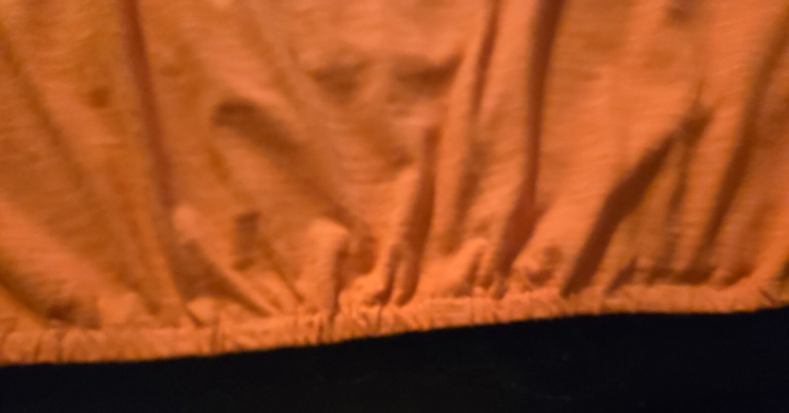 Blouse-Women’s Dress Barn-Soft Pumpkin-Embroidered Floral- Fall Ready! 1XL