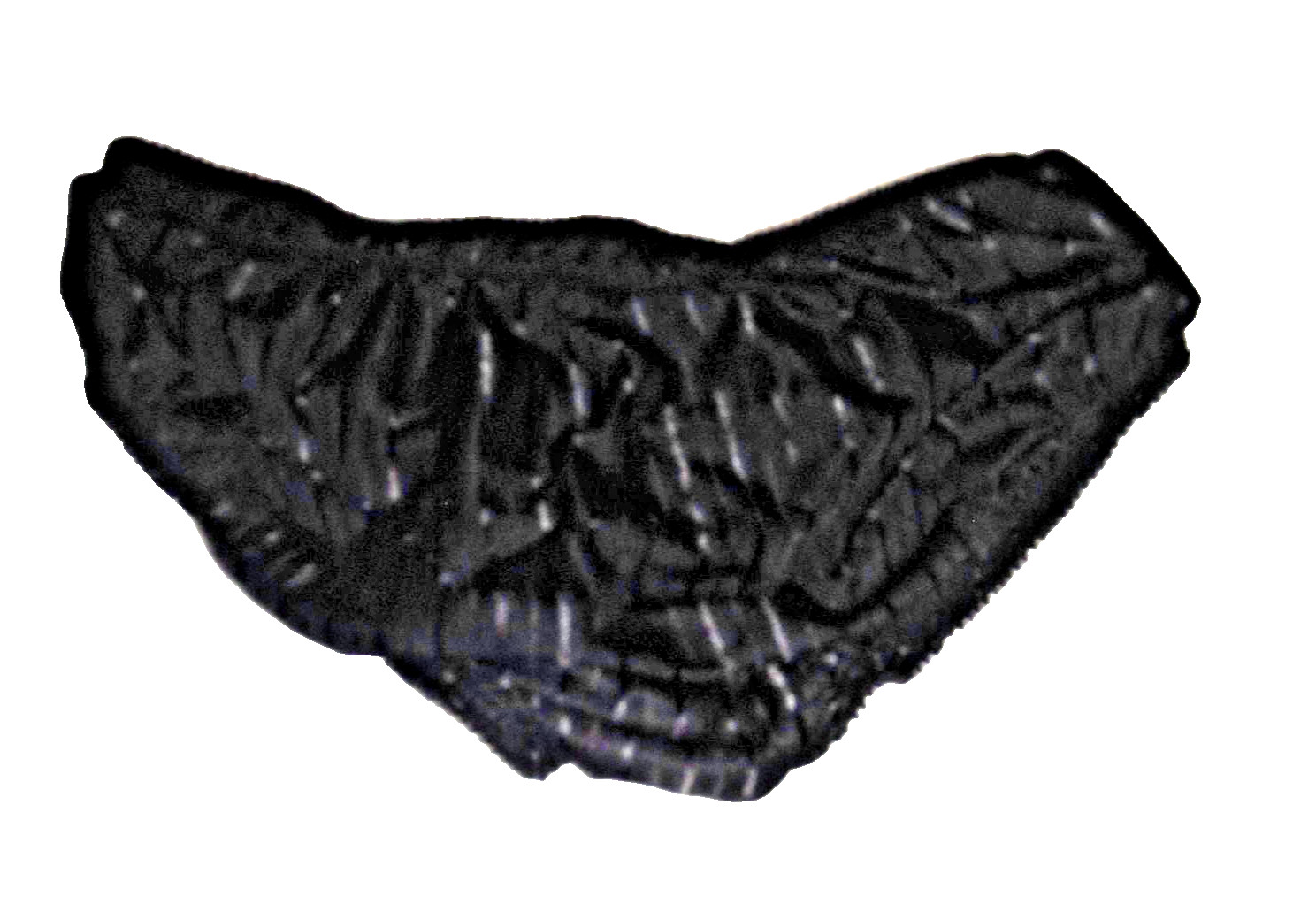 Vintage warners bright stripes panties. black- Sz. S. Silky nylon/ sheer stripes