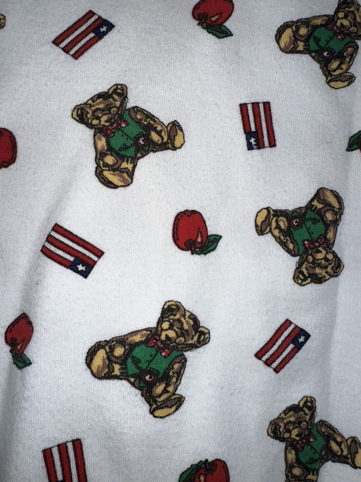 Vtg The Eagle’s Eye Turtleneck Shirt Teddy Bear Apple Teacher Theme Sz Large