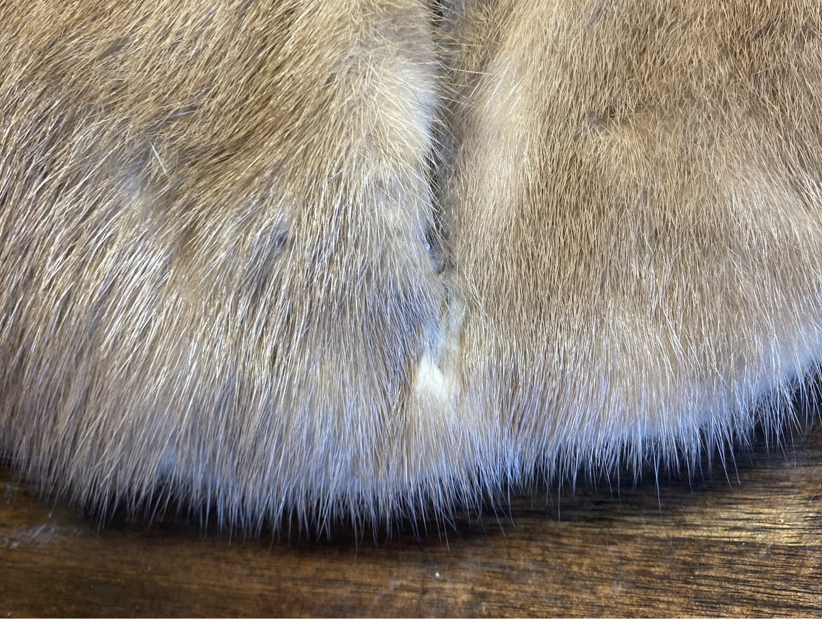 GUC Vtg 1950s Champagne Sable Fur Stole Shawl Jones Fur Service NC & W.VA