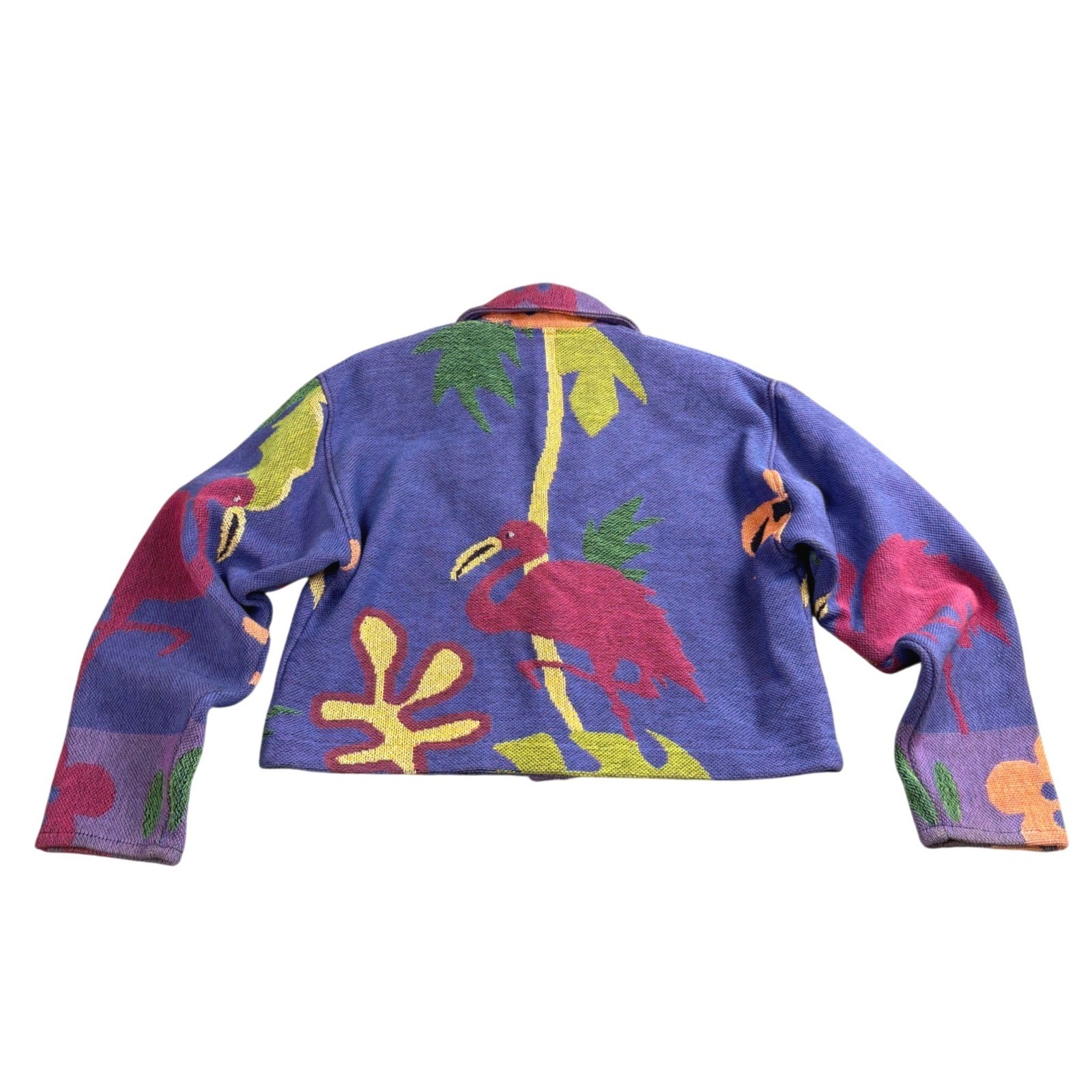 Painted Pony Tapestry Jacket Womens Large Flamingo Tropical Vintage 90s Cropped