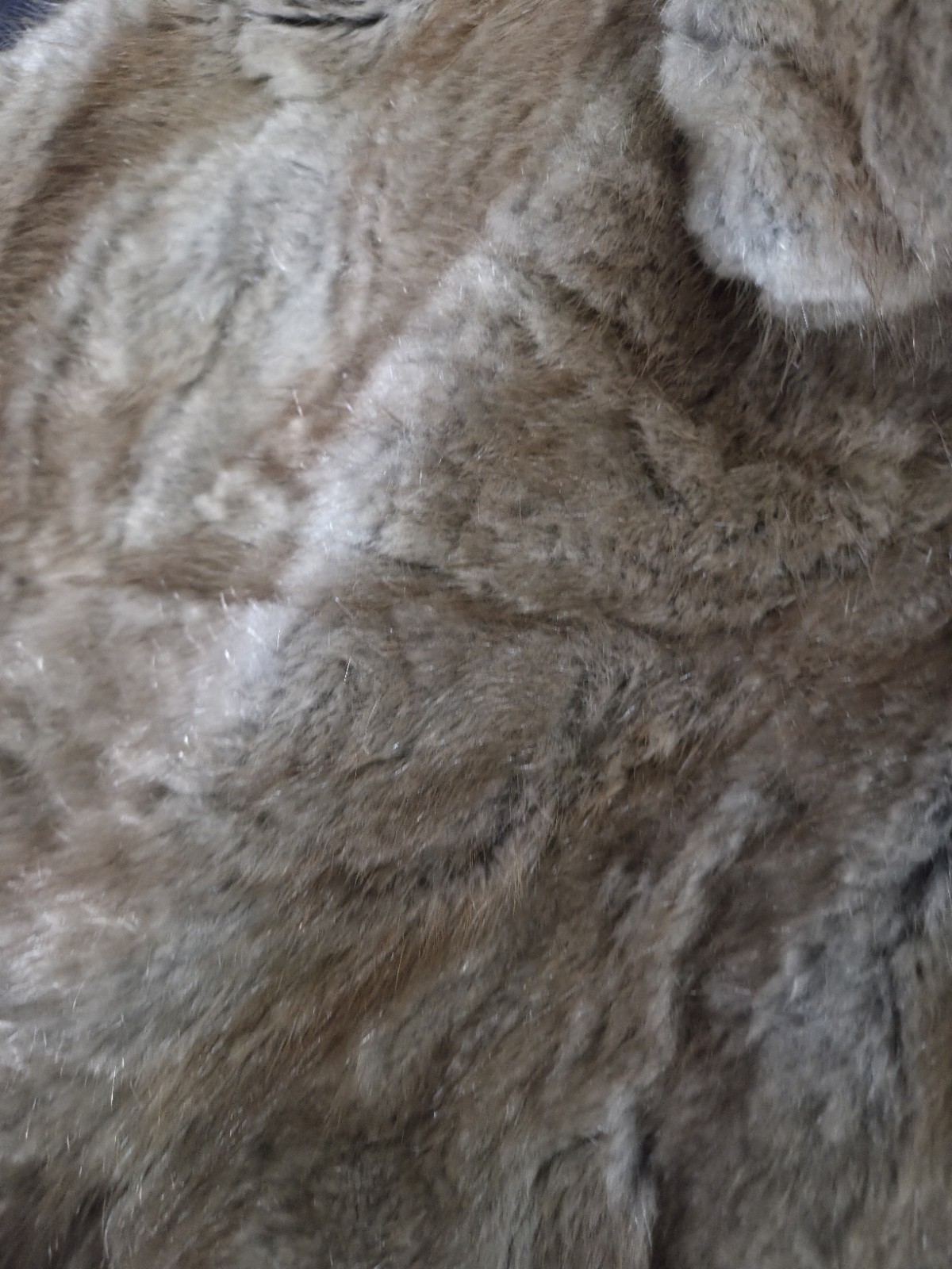 Vtg Furessence by Vivian Amato Fur Coat & Textured Seude Greece Medium Glam80’s