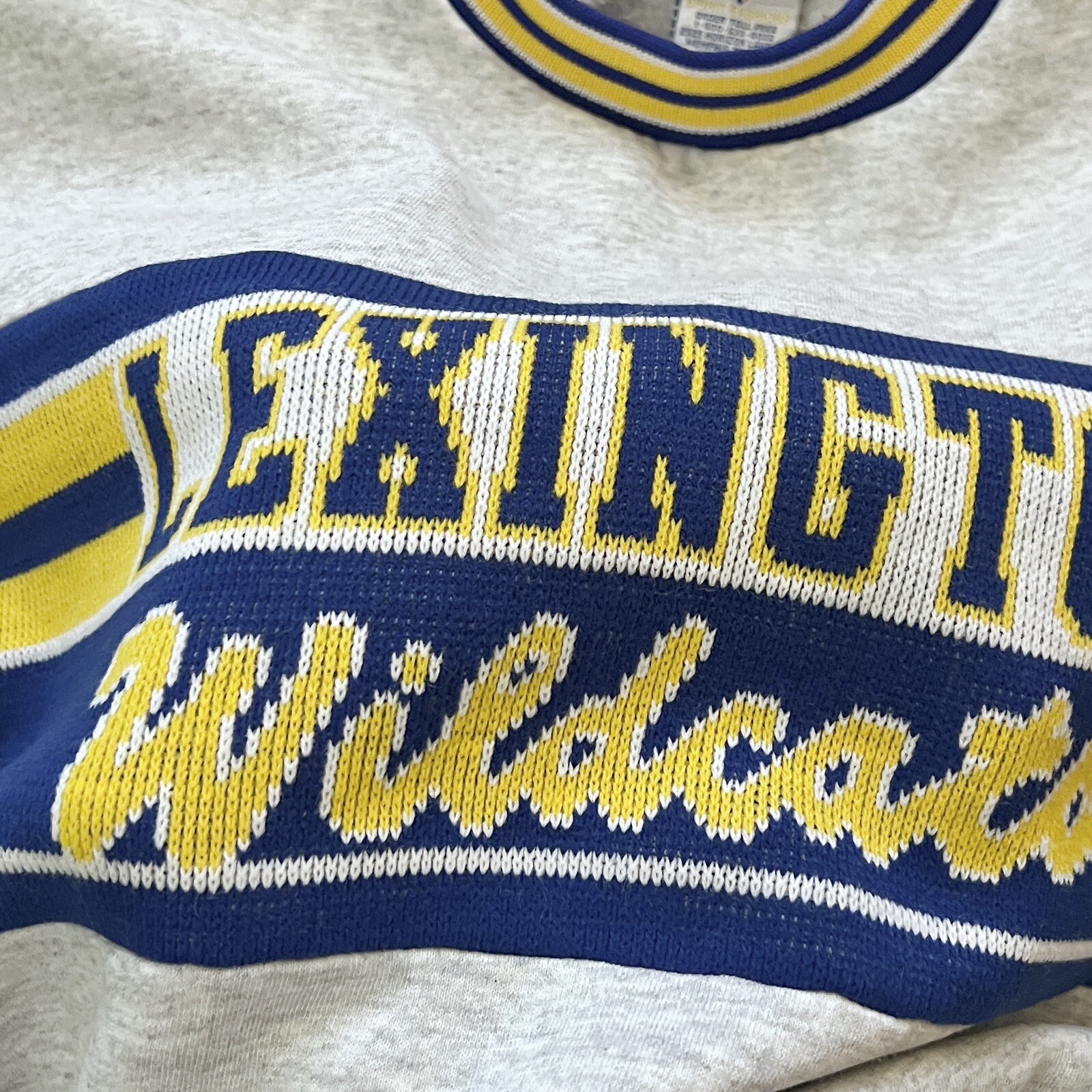 Vintage Lexington Wildcats Varsity Spirit Fashions Sweater Knit Accents USA Sz M