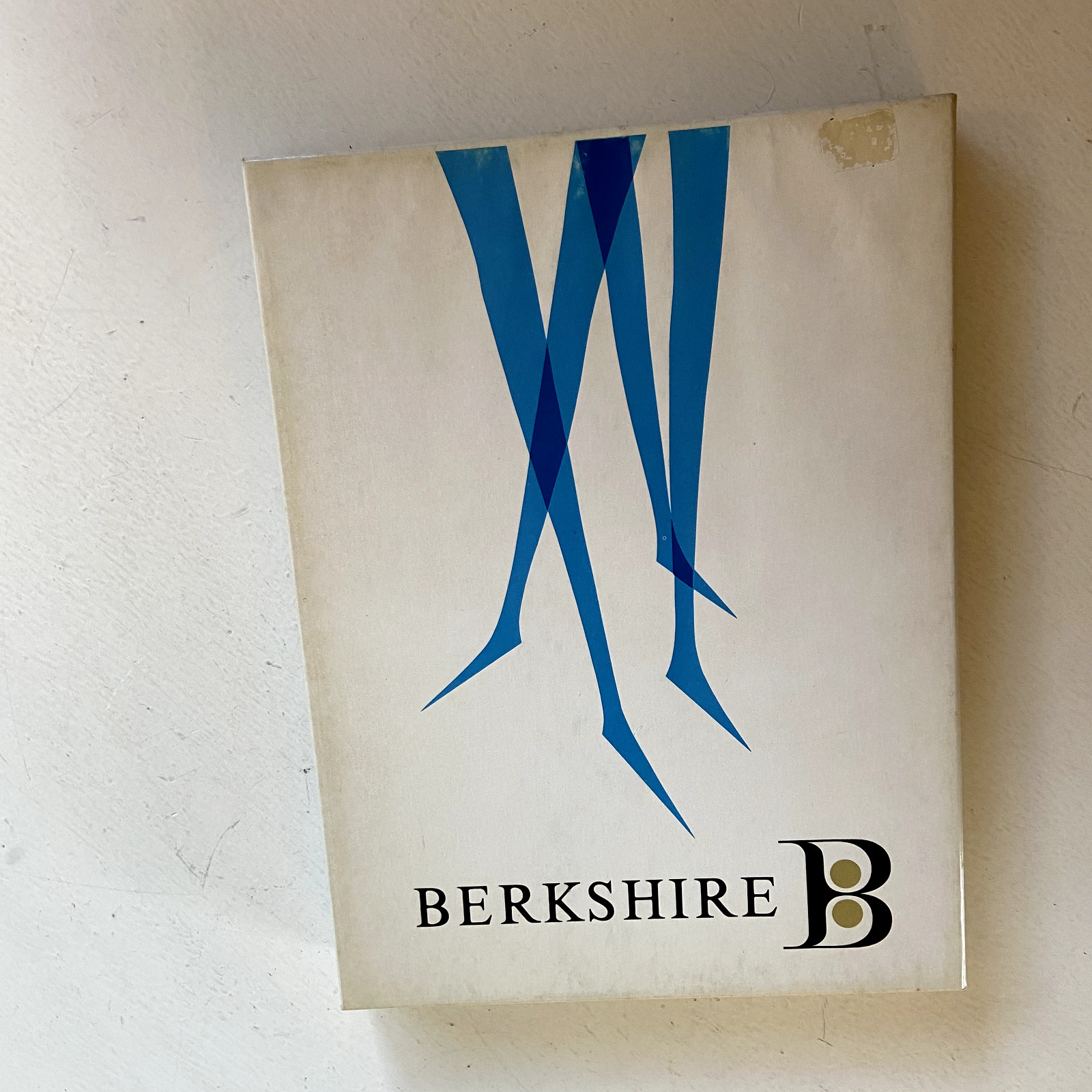 Vintage Berkshire Stretch Nylon Stockings 2 Pair Tint Neutral Beige 10.5 in Box