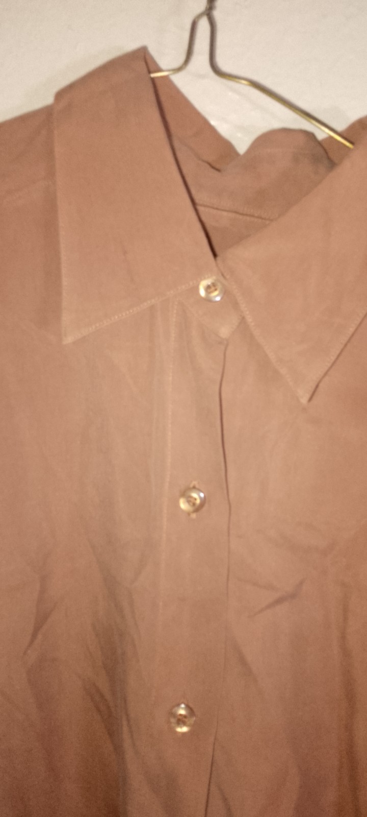 Vtg,FAGI Women’s LG,Refined Silk, Button Down Long Sleeve, Terracotta,Old Money