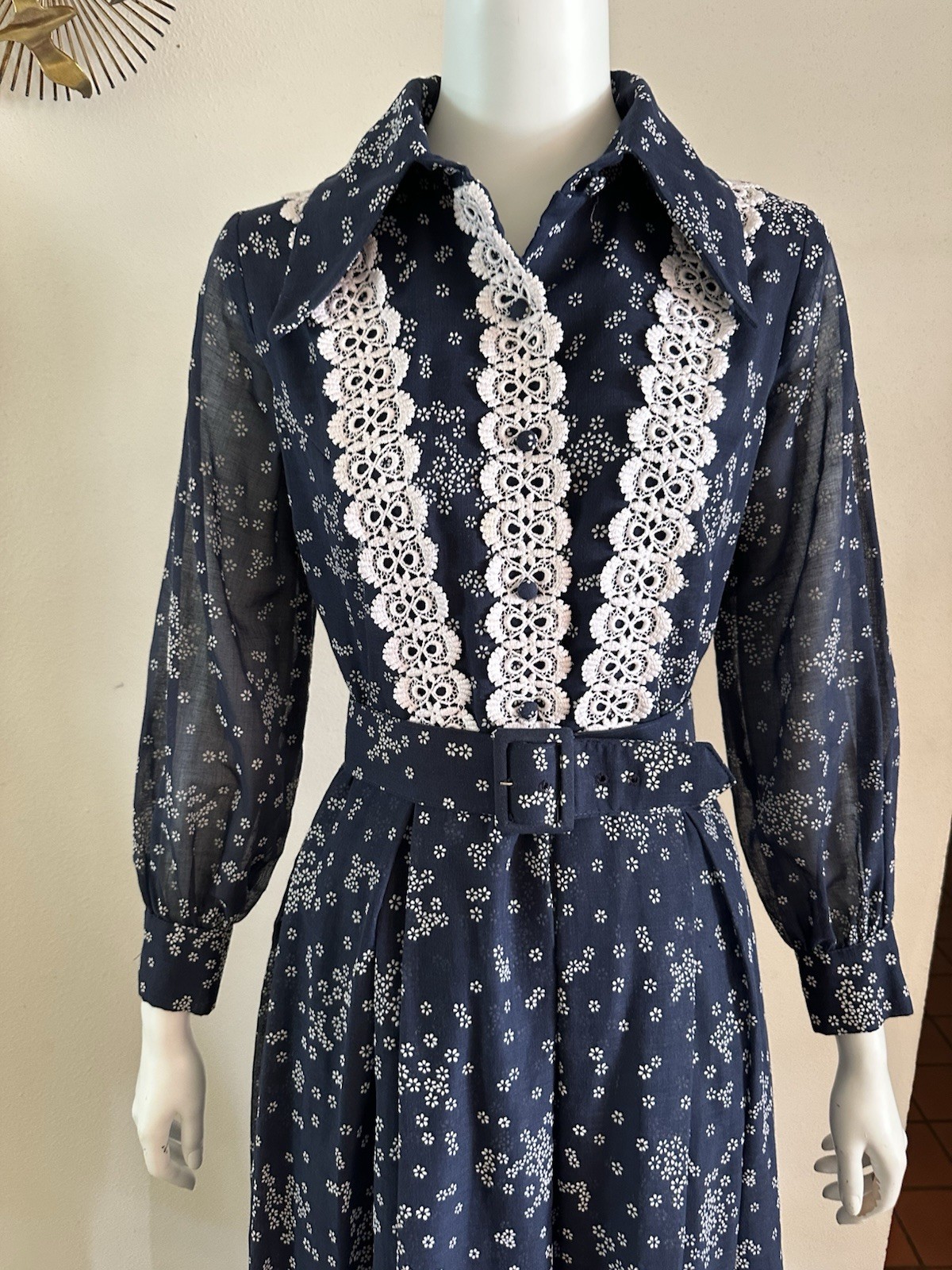 1970s Avalon Classics Dagger Collar Maxi Dress Boho Prairie Lace Daisy Print VTG