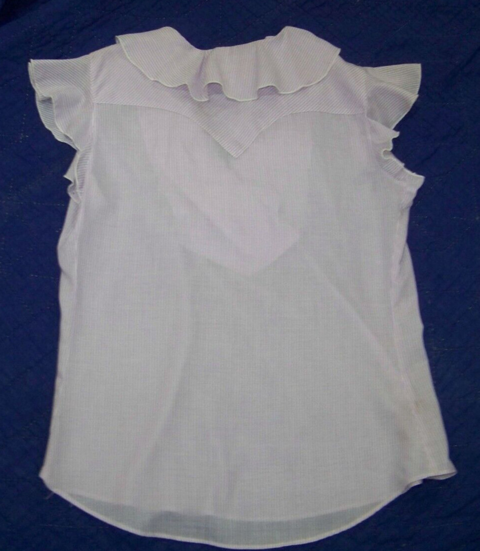 Vintage Panhandle Slim Pullover Top – Flutter Sleeves – 16/38 (See Measurements)