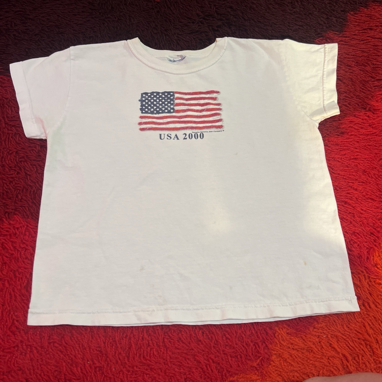 Y2K Summer 2000 T Shirt American Flag Millennium Vintage White M Sonoma Crop