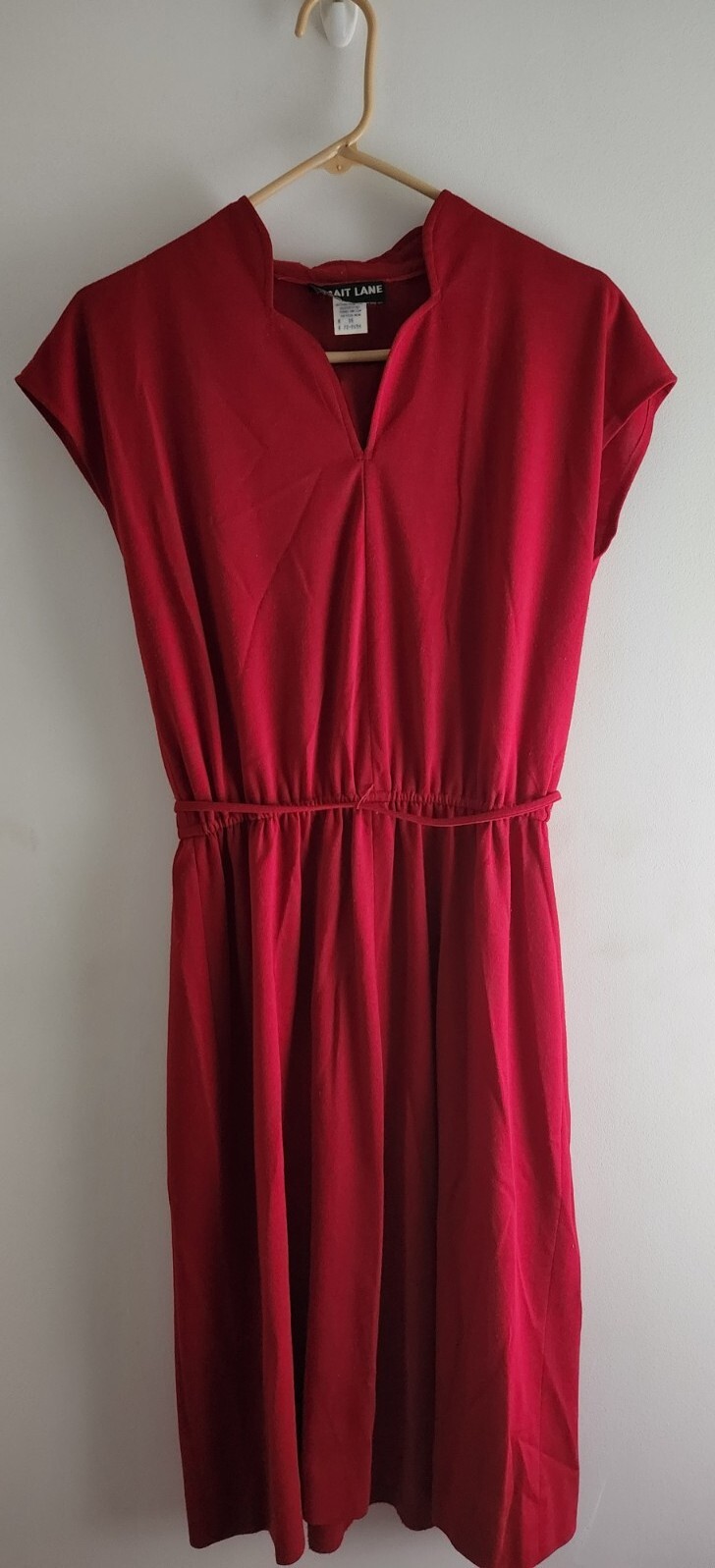 Vintage 1980s Strait Lane Dress Vtg Sz 16 Size 10/12 Pure Retro 80s Golden Girls