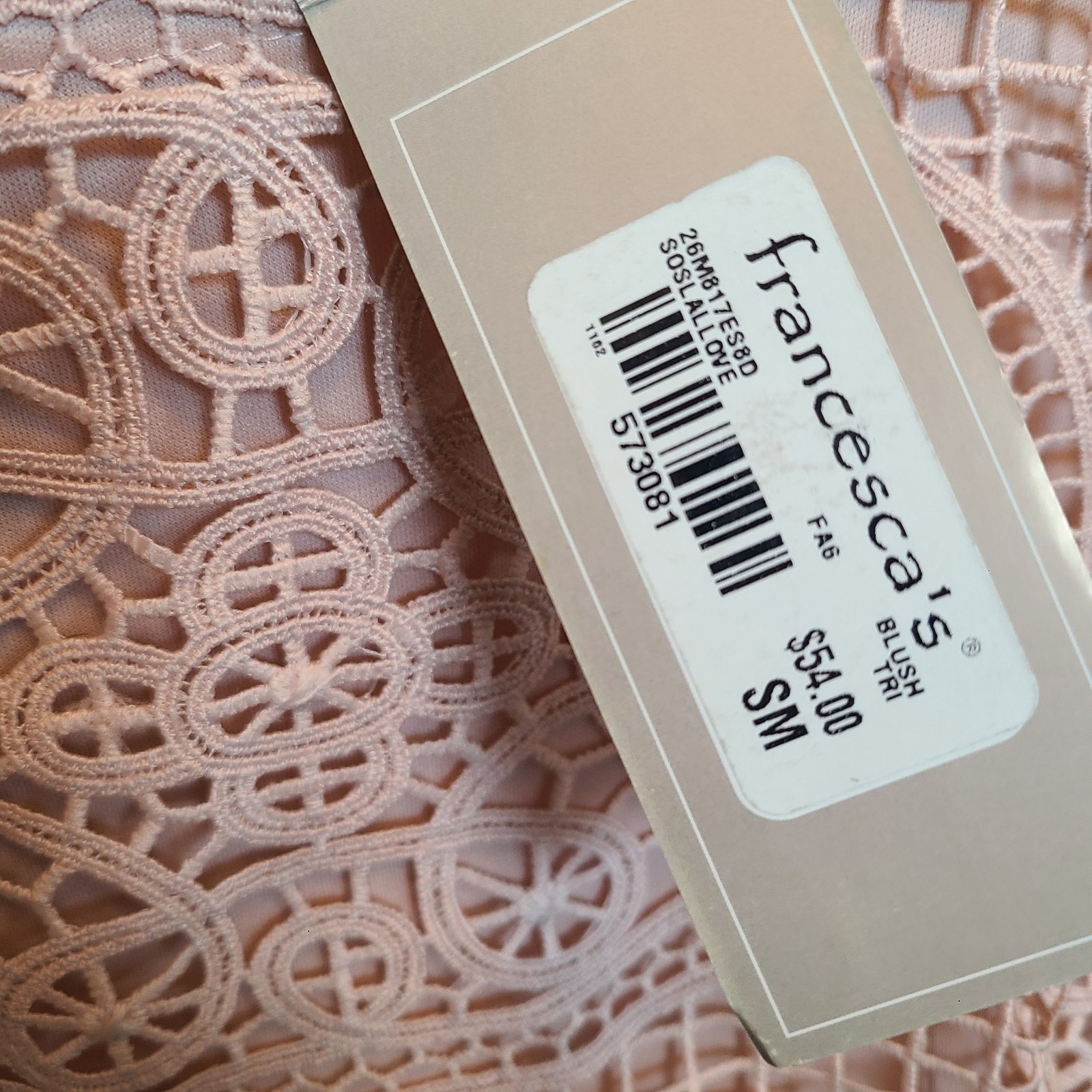 Francescas Miami Lace Overlay Fit & Flare Pink Sleeveless Zip Mini Dress Size S