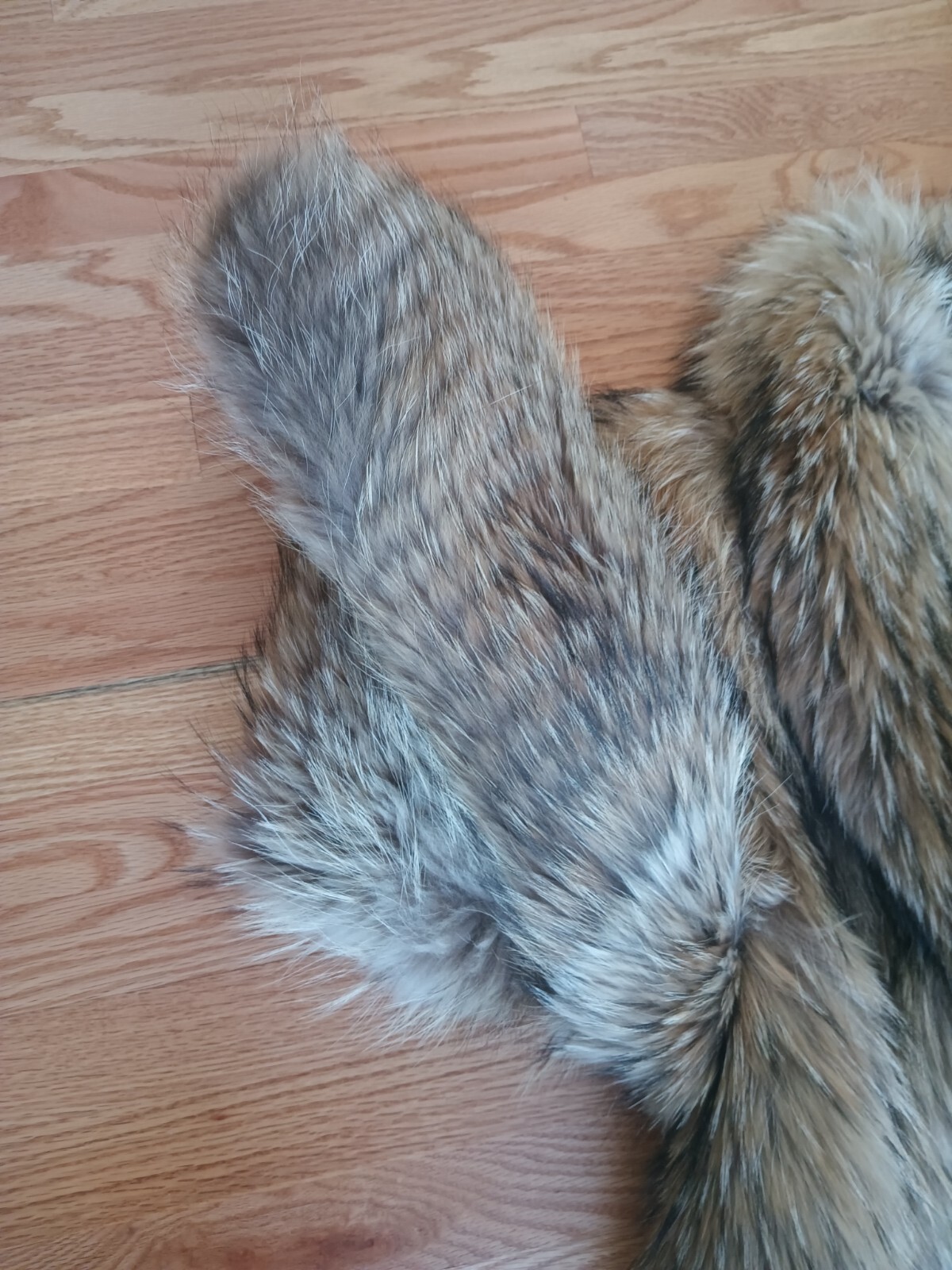 ADOLFO Bold Beauty Collared Feathered Finnish Raccoon Fur Coat Full Length Plus