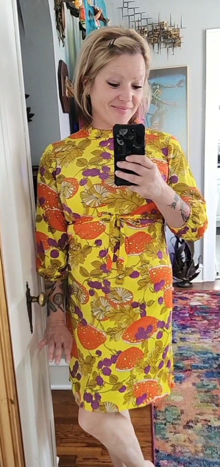 Mushroom Betty Hartford Dress 1960’s True Vintage Hippie Twiggy Mod 60’s Clothes
