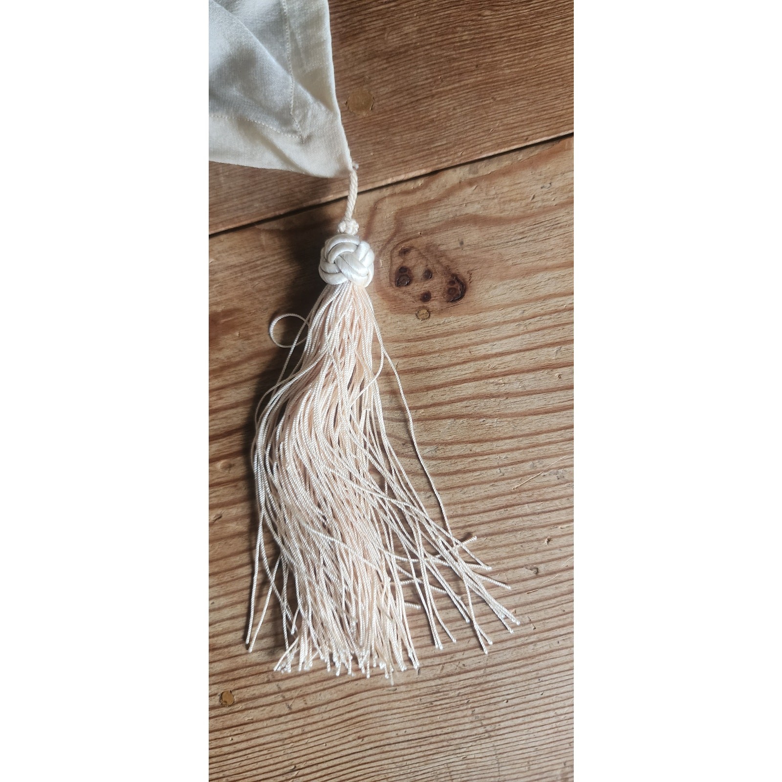 Vintage 1910s Edwardian Dress Cream Silk Tea Gown w/Lace, Pleating, Tassels