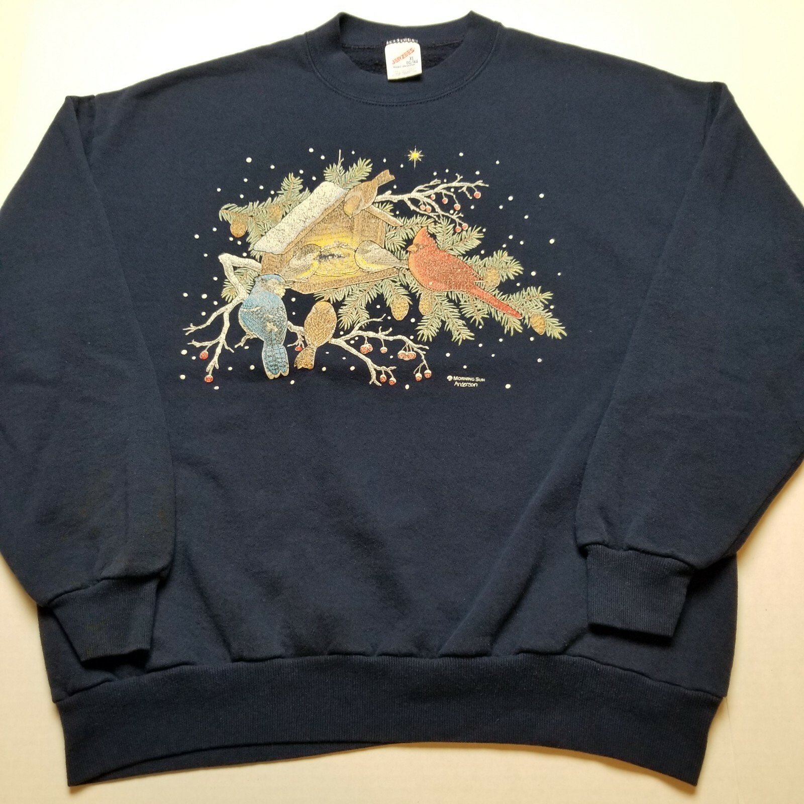Vtg Morning Sun Winter Birdhouse Sweatshirt Womens XL Snow Jerzees USA 90s T44