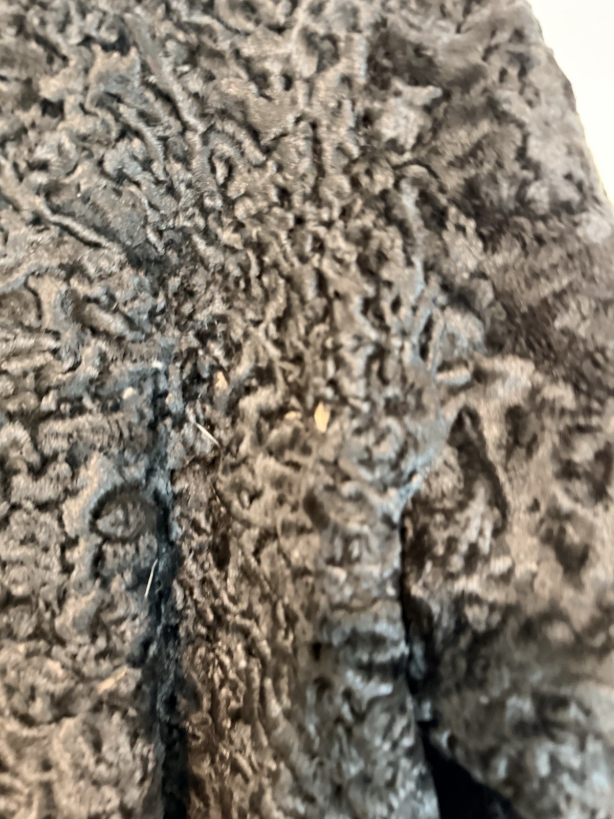 Vintage Preminger Co Furs Black Persian Lamb Fur Coat Chicago Repair