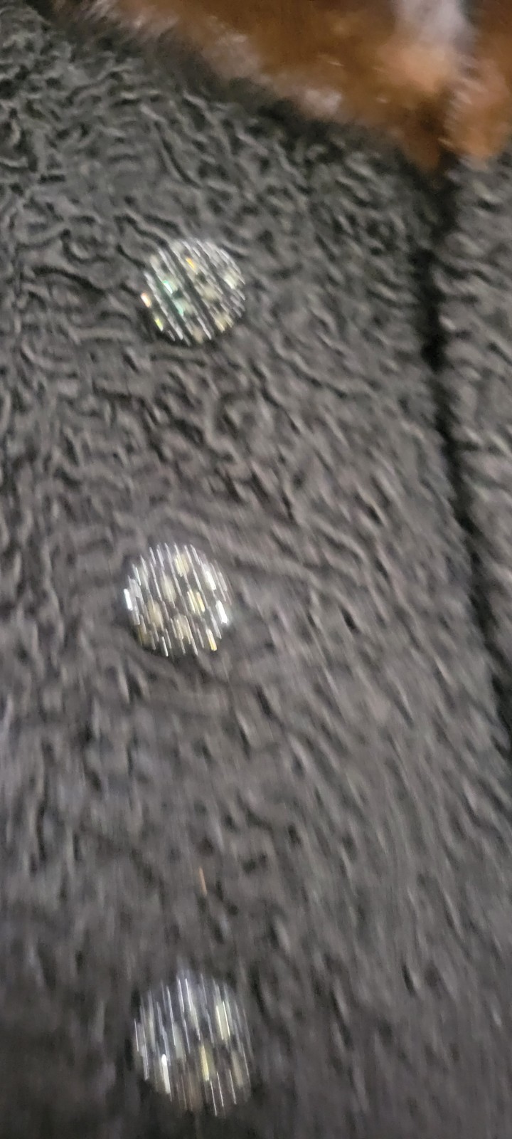 Azen Furs Of Pittsburgh Mink And Persian Lamb Vintage Custom Coat
