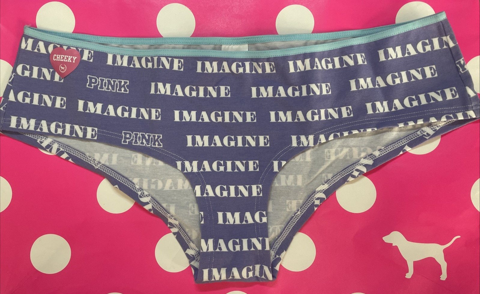 2009 Victoria Secret PINK Vintage Cotton Extra Low Rise Hipster Panty M IMAGINE