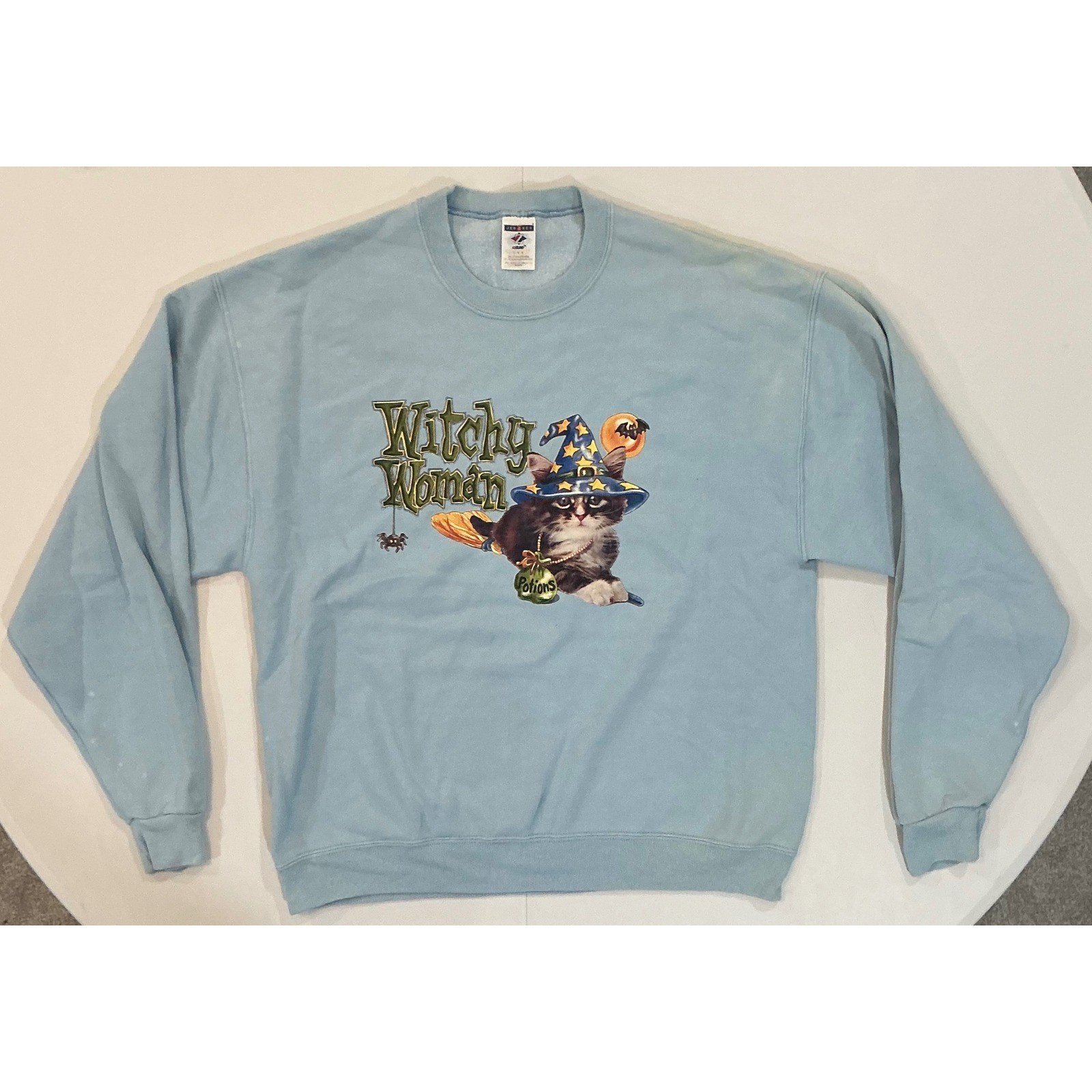 VTG Y2K Halloween Cat Witchy Woman Sweatshirt Unisex L Blue Cat Wizard