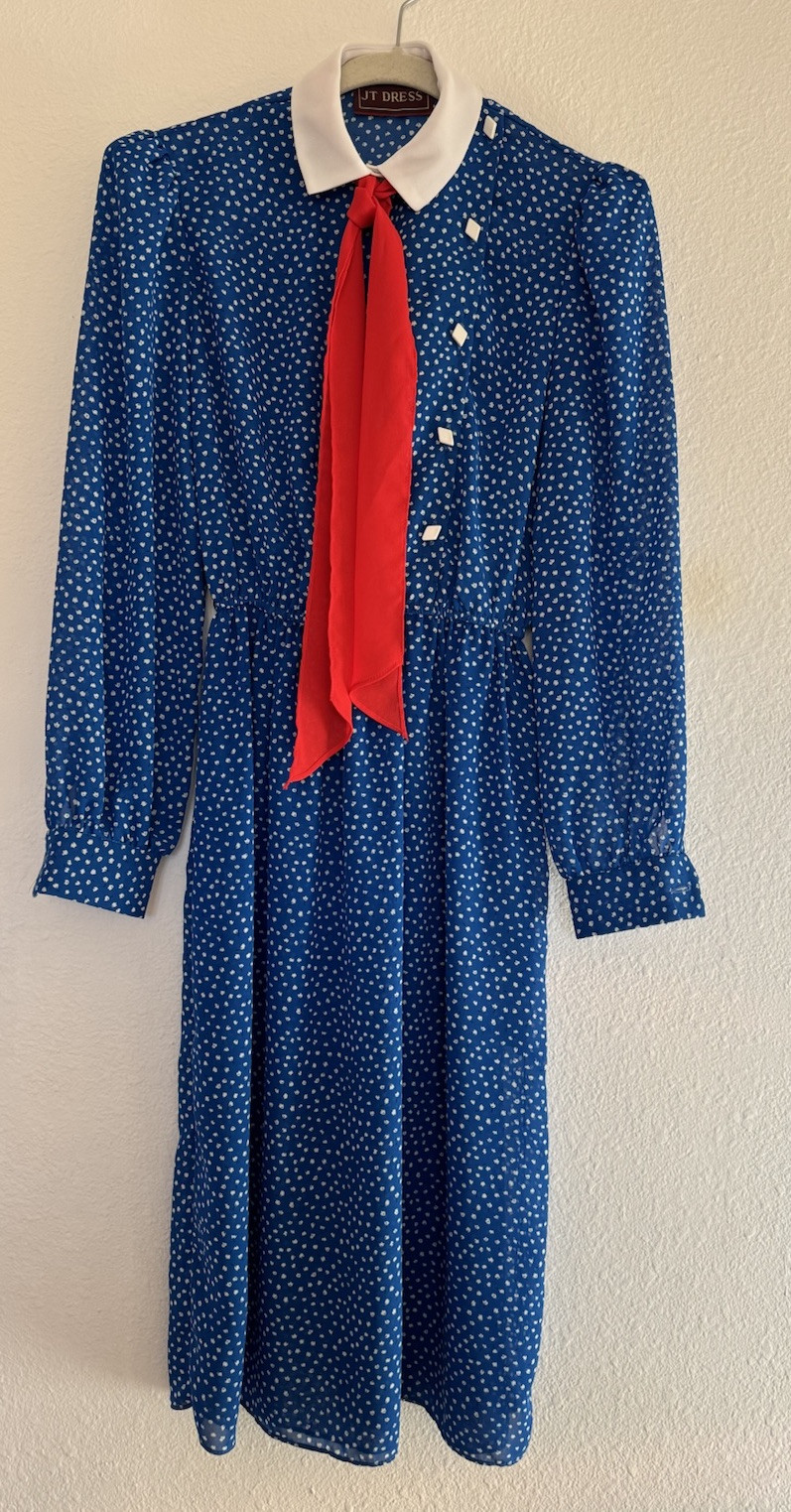 Vintage Women’s JT Dress Blue Polka Dot White Collar Red Scarf Dress 1970s
