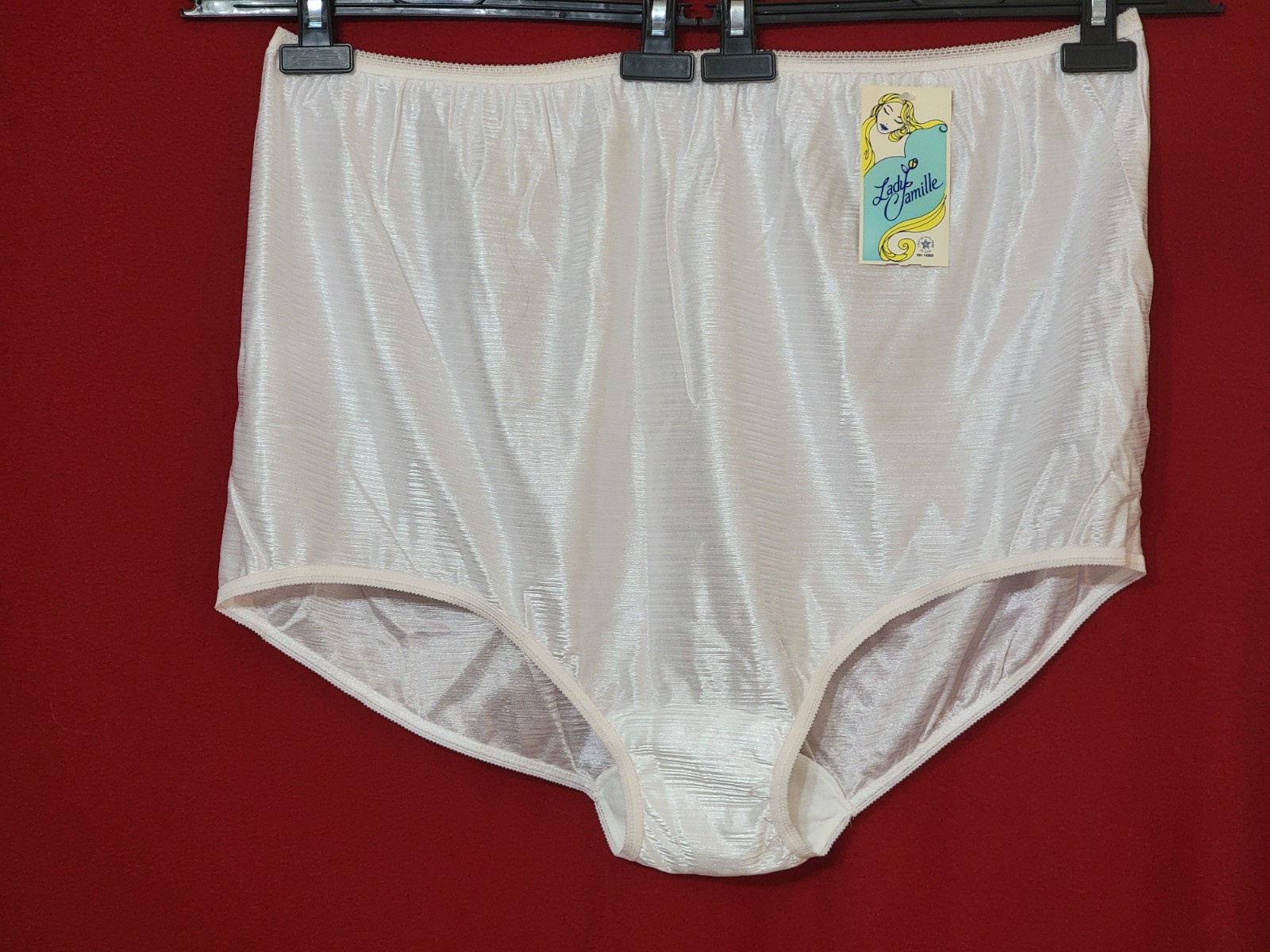 NWT Vintage Lady Camille Full Brief Granny Panties Shiny White 100% Nylon 13 USA