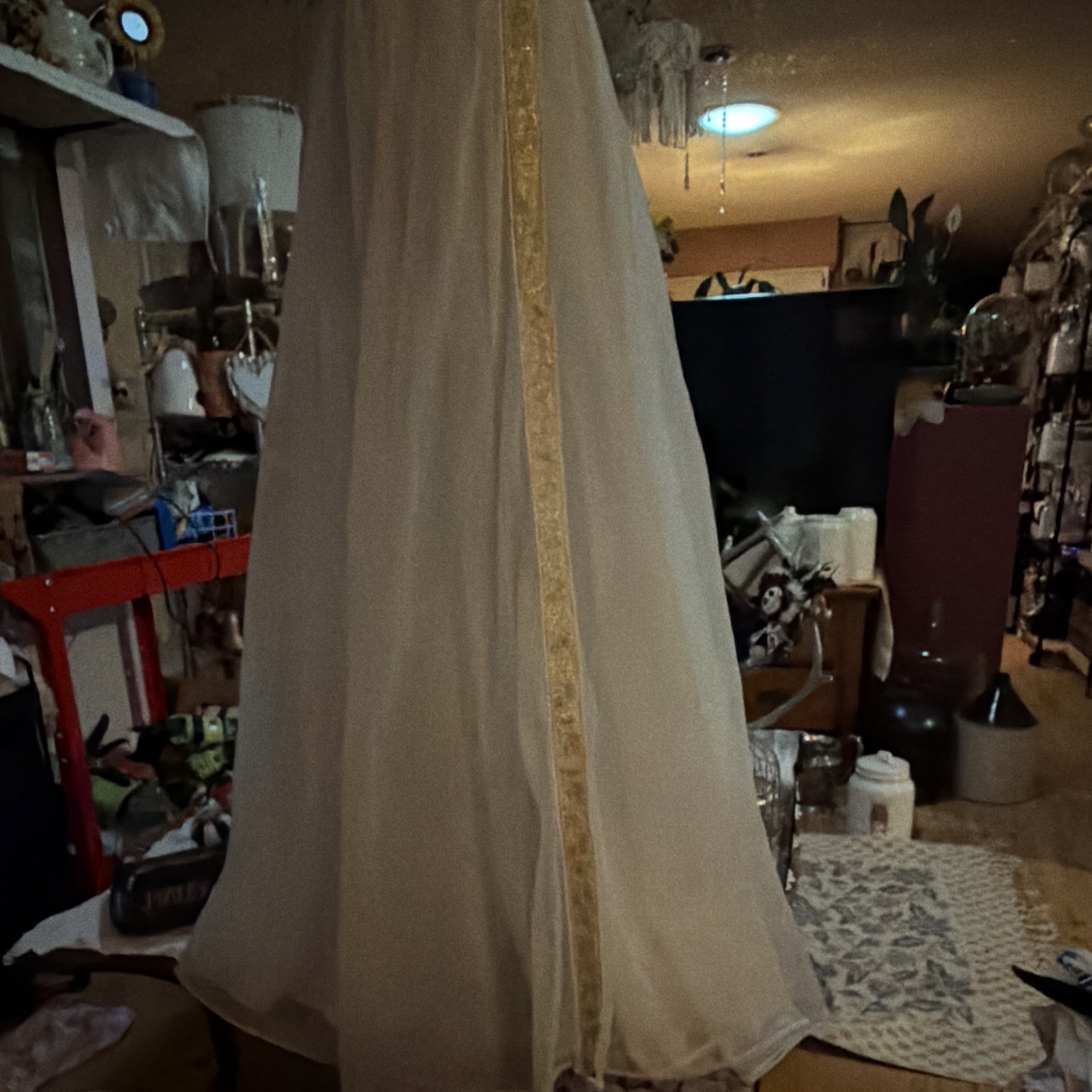 Vintage 1950’s Vanity Fair Gold Tag Chiffon Nightgown Dress Gold Embroidered 3