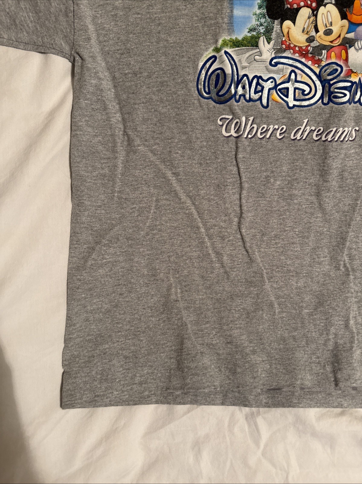 Walt Disney World Where Dreams Come True Gray T Shirt Cast Characters XL 22×26