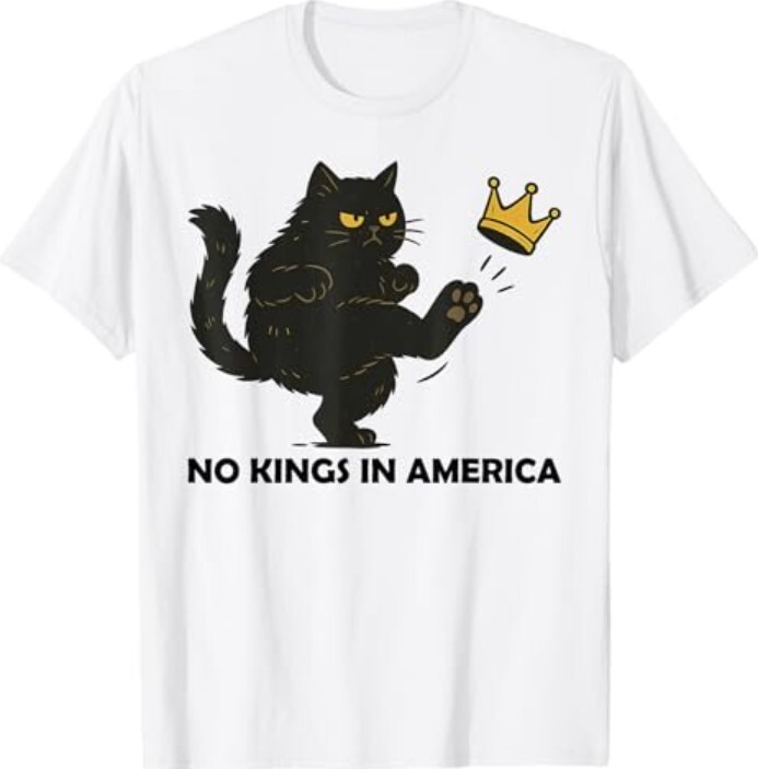 No Kings In America We The People Political Men Women T-Shirt