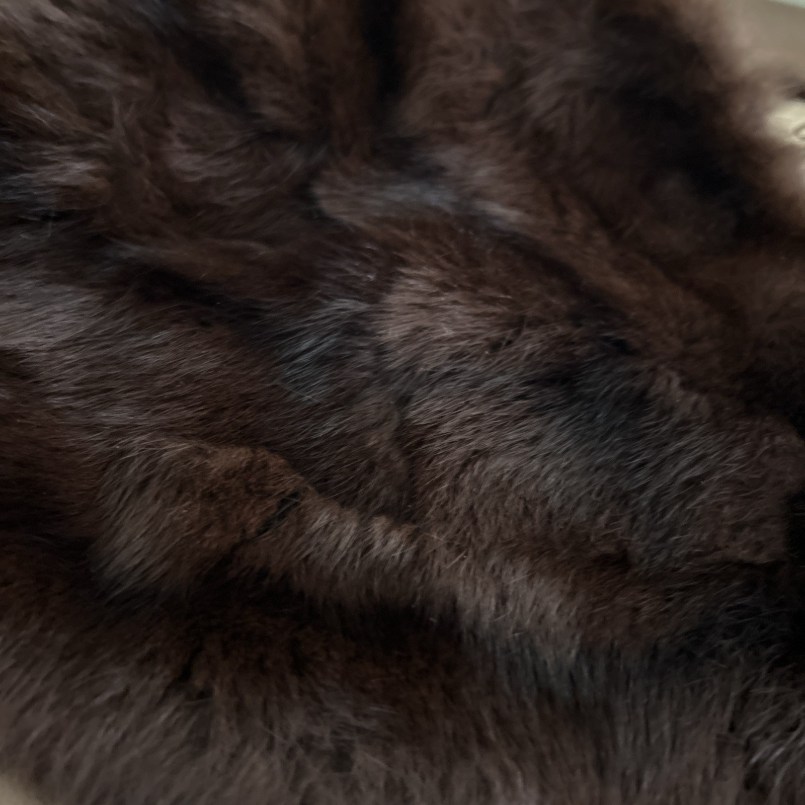 Vintage chocolate brown Mink Stole Silk Lined 1950s