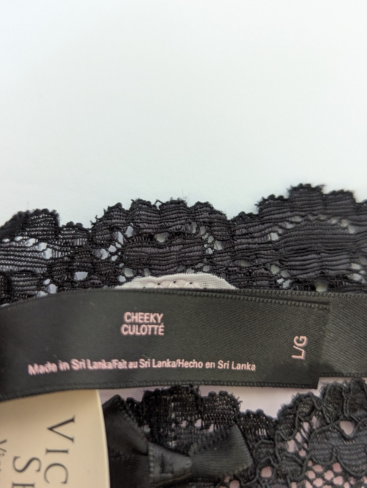 Vintage Victorias Secret Pink Cheeky Panty Black Lace Sheer Sexy Little Things L