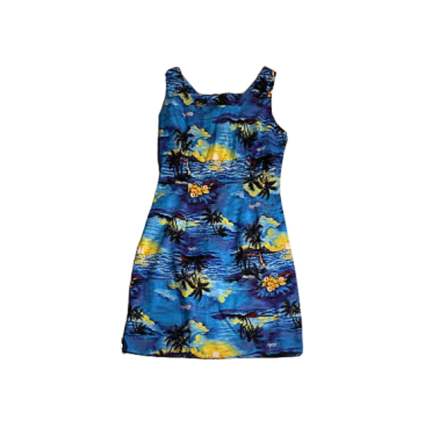 Vintage Blue Sleeveless Tropical Hawaiian Dress St. Maarten Tropical Dress