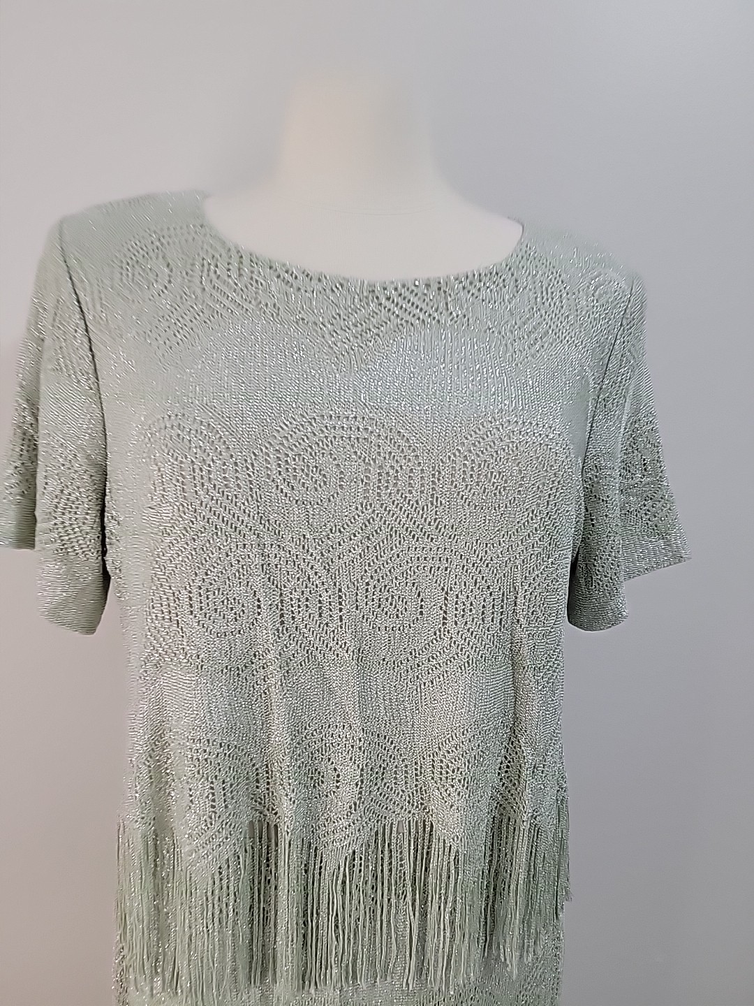 Vtg SL Fashions Green Lame Sparkly Formal Long Party Dress with Fringe Size 14WP