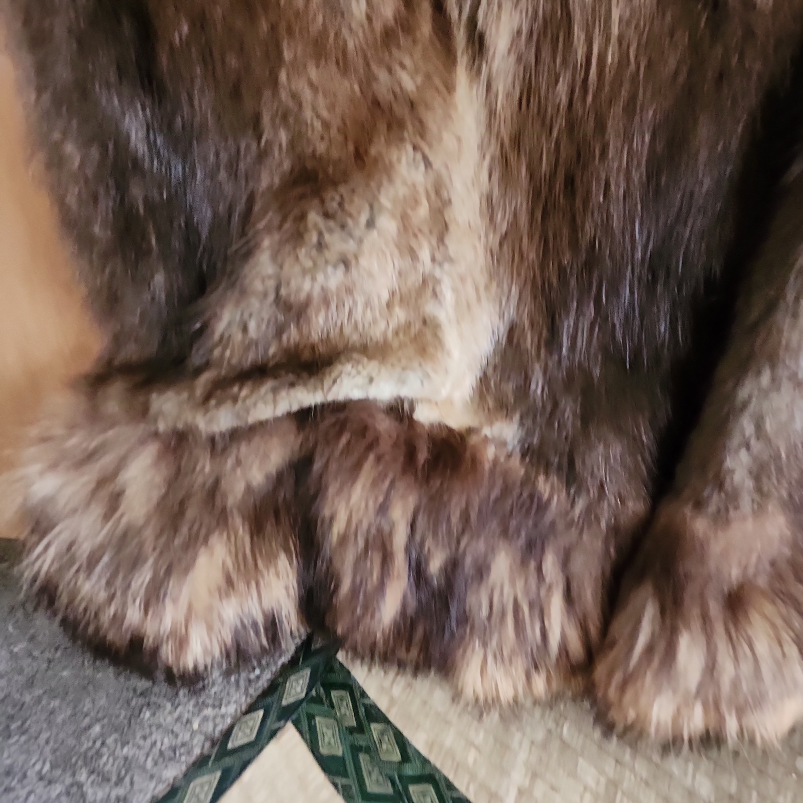 Vintage Rabbit Fur Coat w/ Raccoon Fur Collar & Trim Paisley Lining 41″ -AS IS-