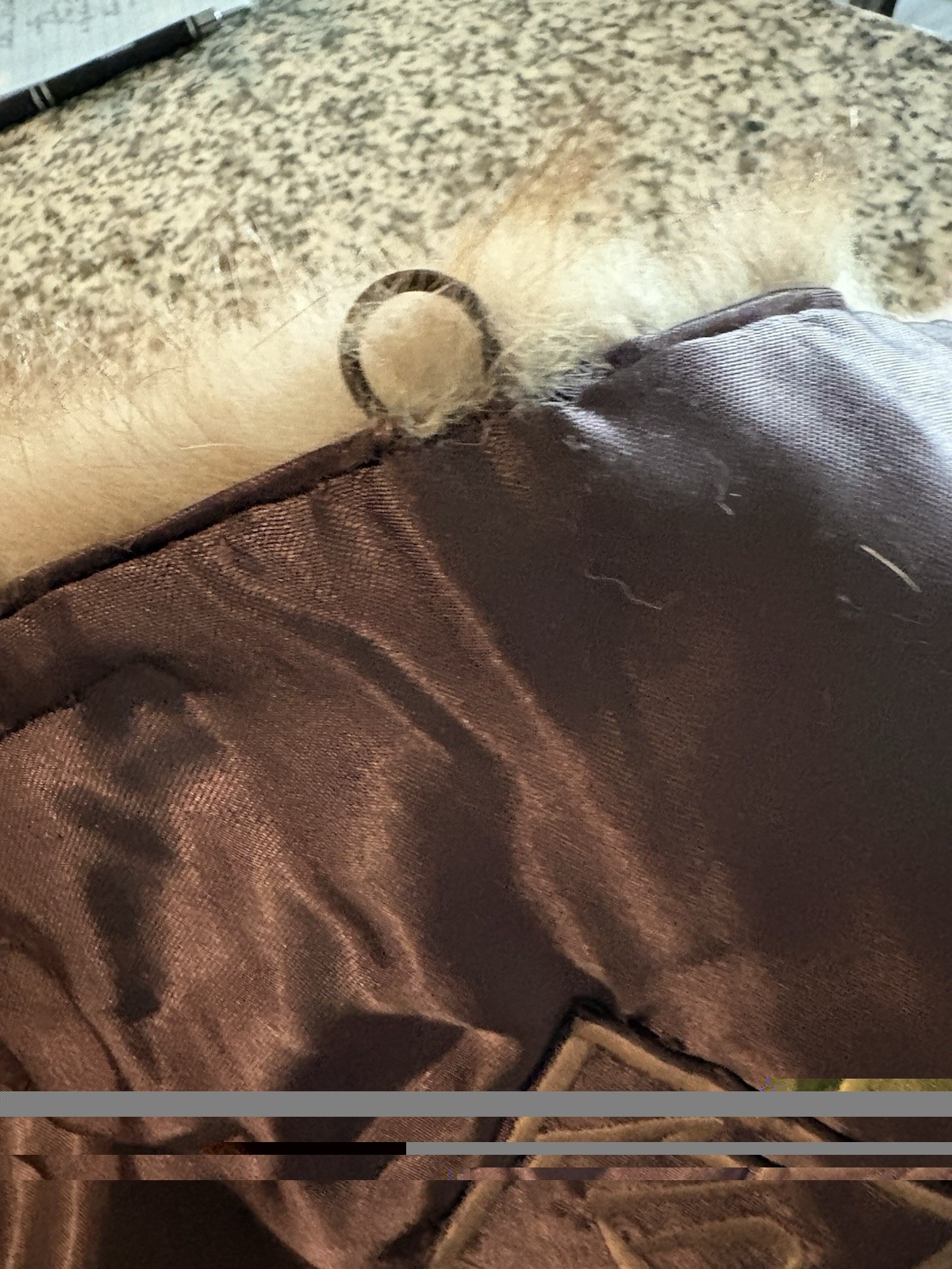 VTG STONE MARTEN SABLE MINK Fur STOLE with TAILS ‘Removable’ Only Owner S/M/L