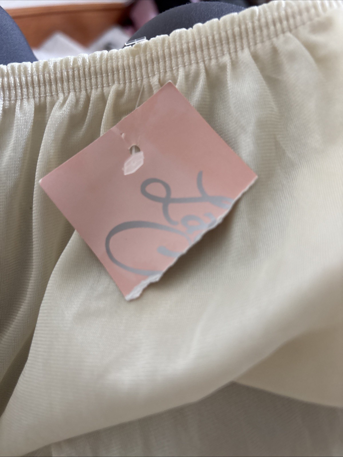 NWT Vintage Lady Camille Full Brief Granny Panties Shiny 100% Nylon lace