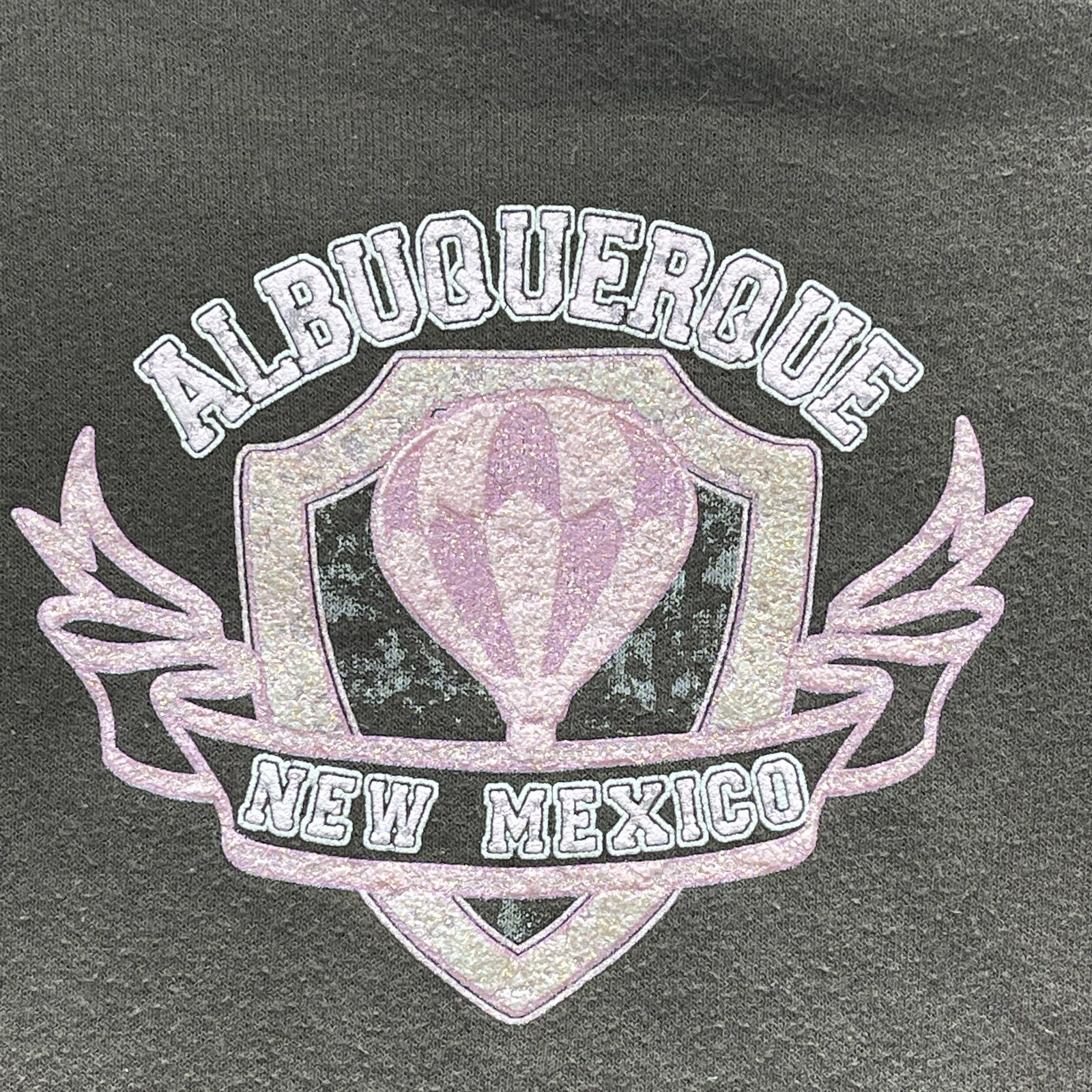 Albuquerque New Mexico Womens Small Hot Air Balloon Festival Brown Hoodie