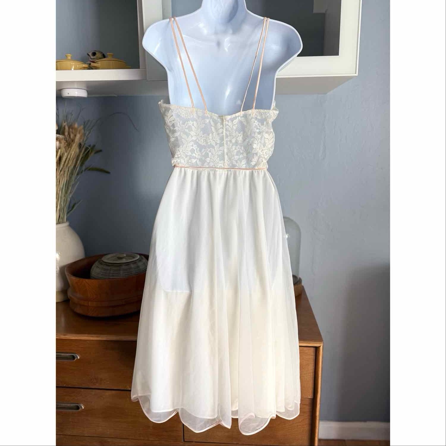Vtg 50s 60s Eyeful by the Flaums Lace Embroidered Chiffon Nightgown Dress 34