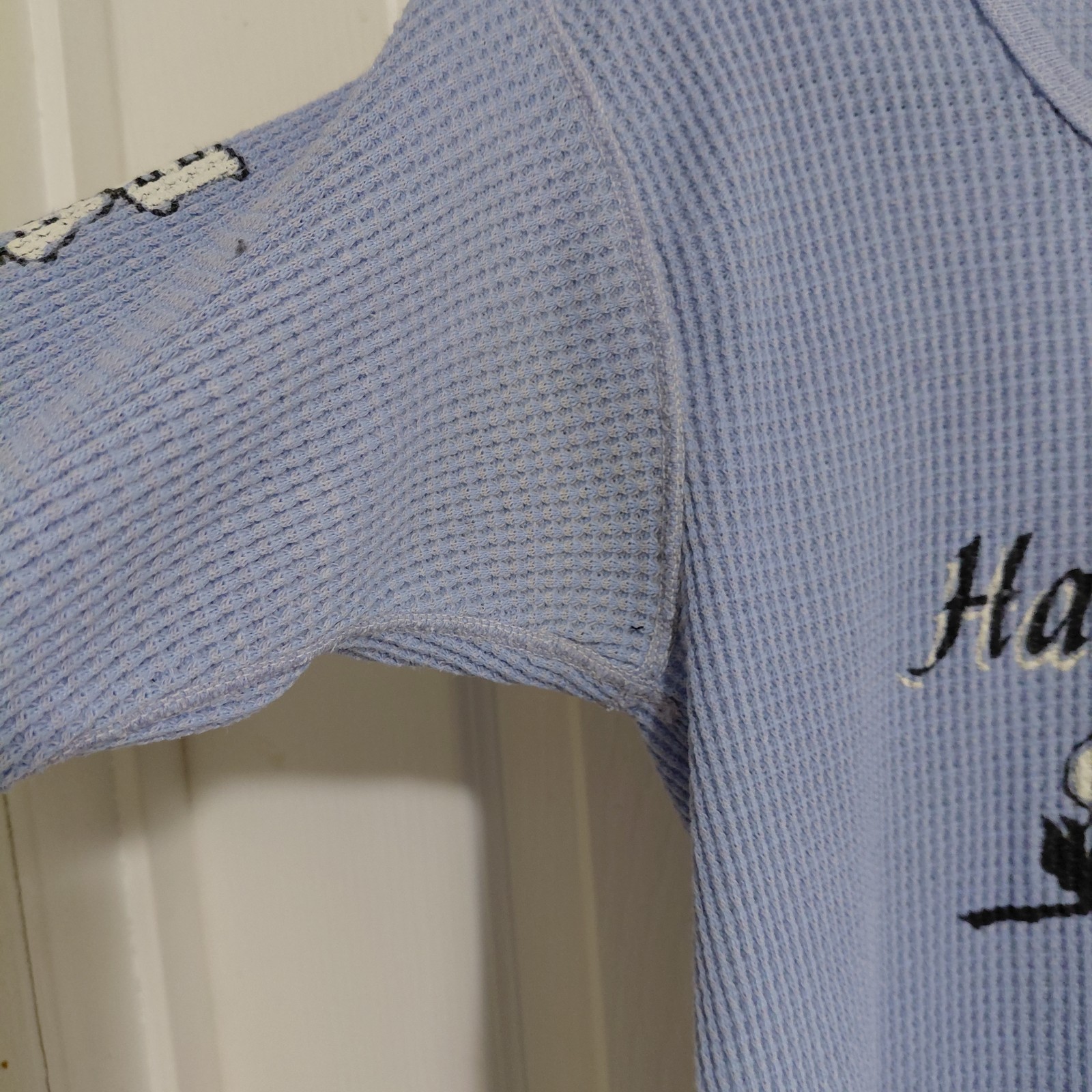 Vintage 80s Kegel Harley-Davidson Rockford IL Rose Light Blue L/S Crew Thermal