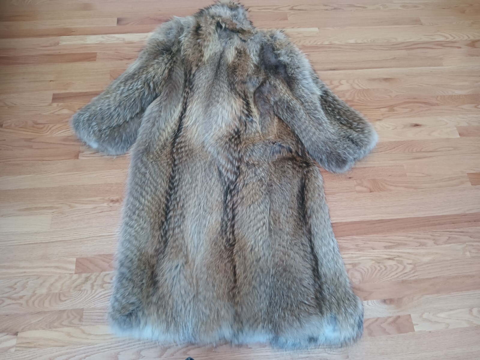 ADOLFO Bold Beauty Collared Feathered Finnish Raccoon Fur Coat Full Length Plus
