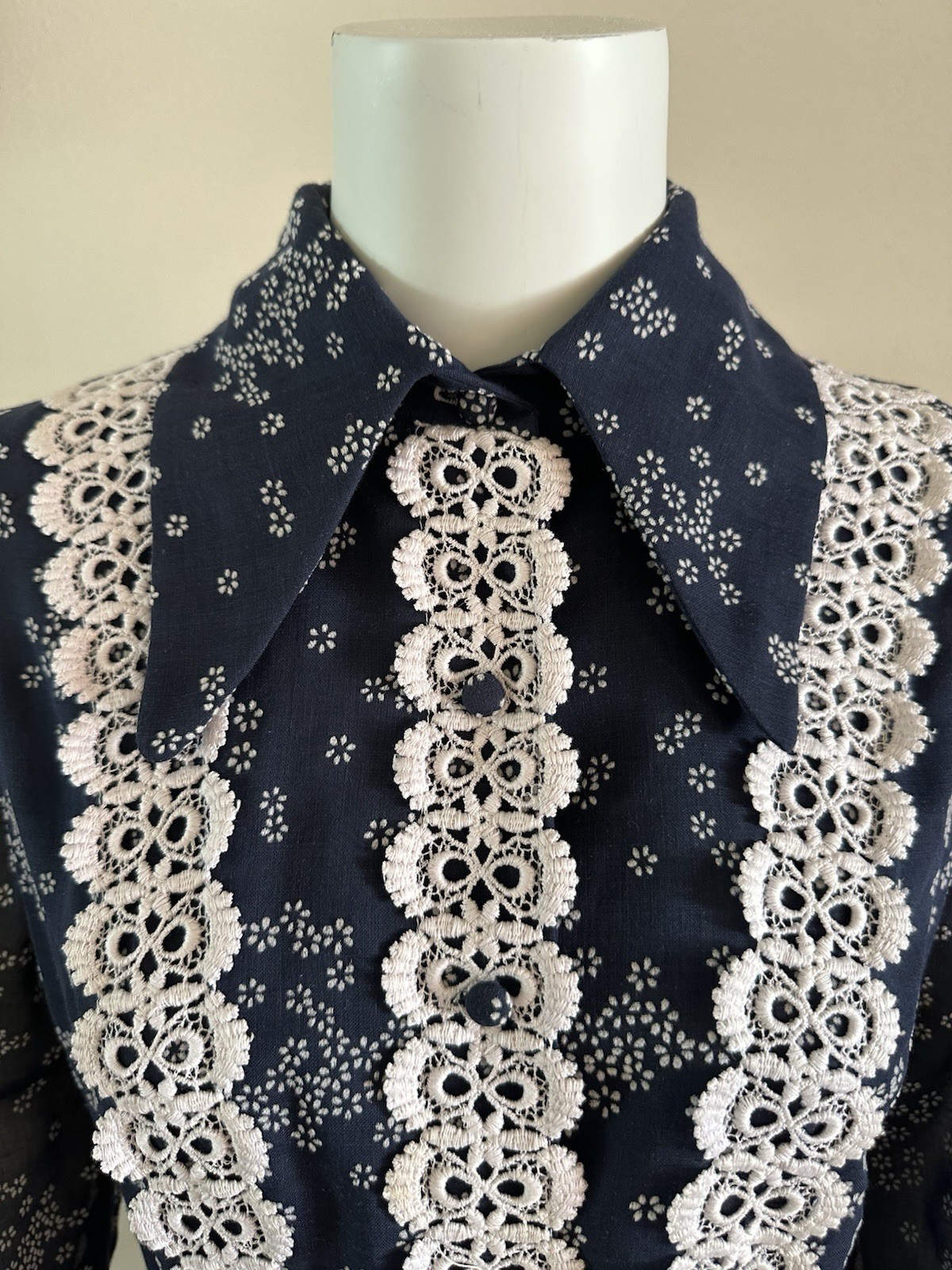1970s Avalon Classics Dagger Collar Maxi Dress Boho Prairie Lace Daisy Print VTG
