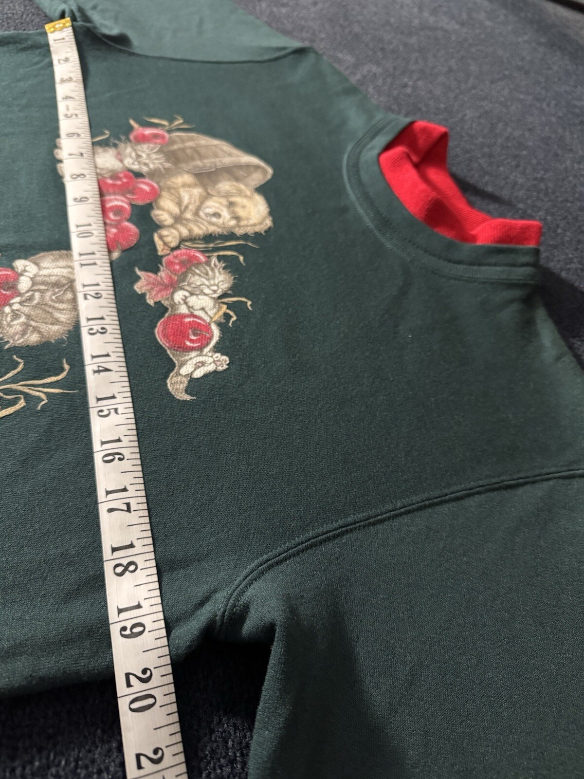 Vintage Kitten Puppy Dogs Cats Sweatshirt 80s 90s Apple Harvest Grannycore Fall