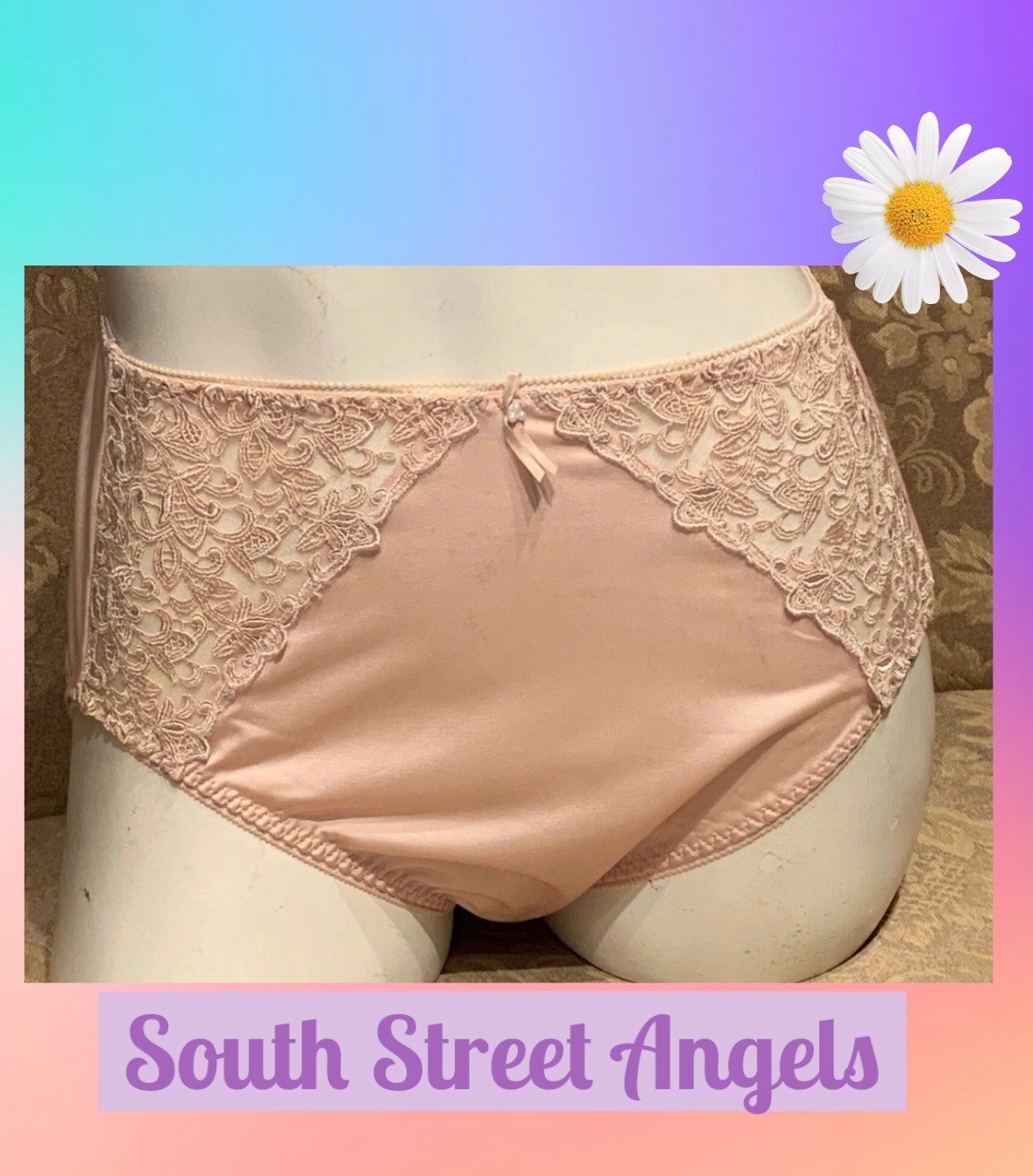 VINTAGE WACOAL 84202 NUDE TAPESTRY EMBROIDERED BRIEF PANTIES ~ SMALL