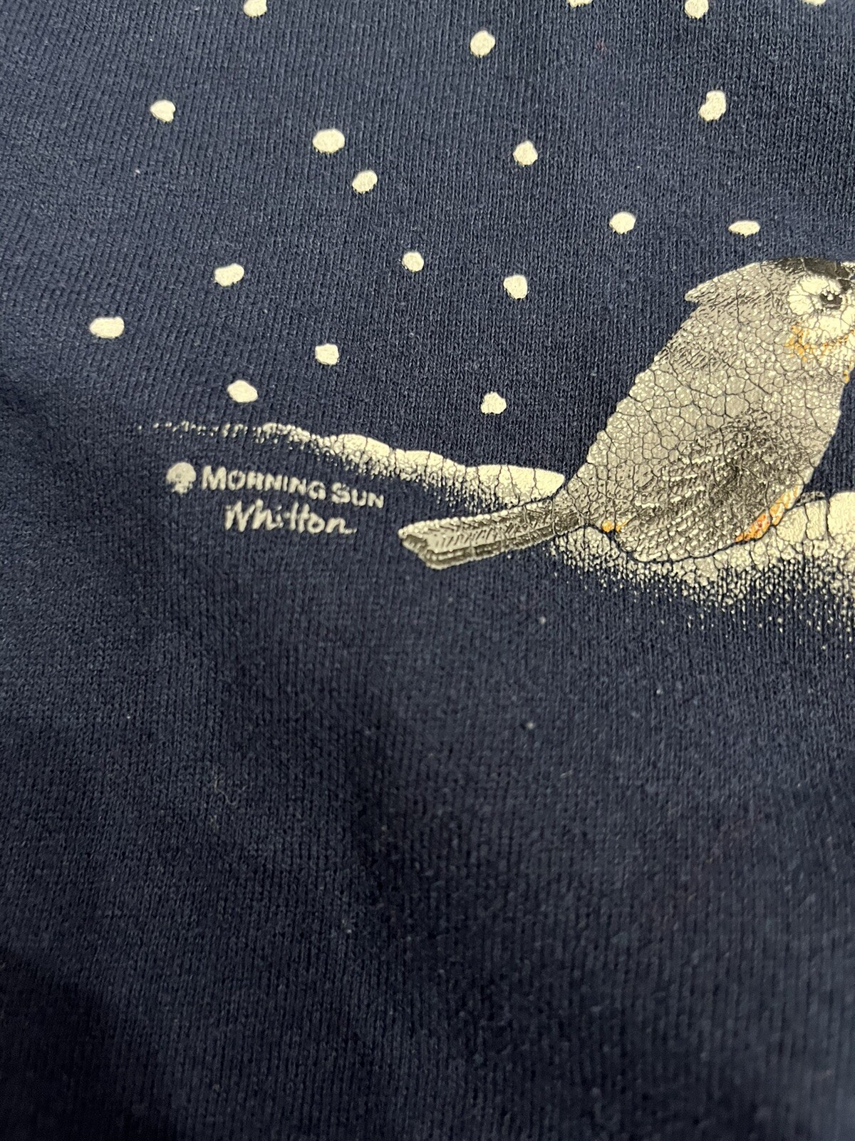 Vintage Sweatshirt Cottage Grandma Core Red Cardinals Bird Feeder Large