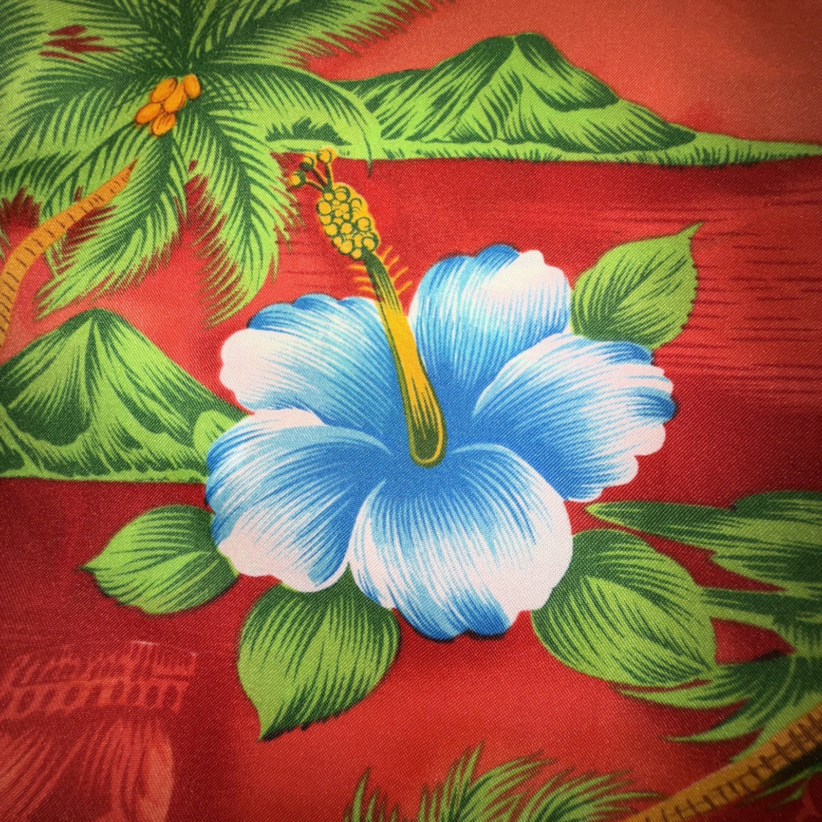 Vintage Hawaii House Dress Red Tropical Flowers Tikis Hawaiian Size 14 Muu Muu